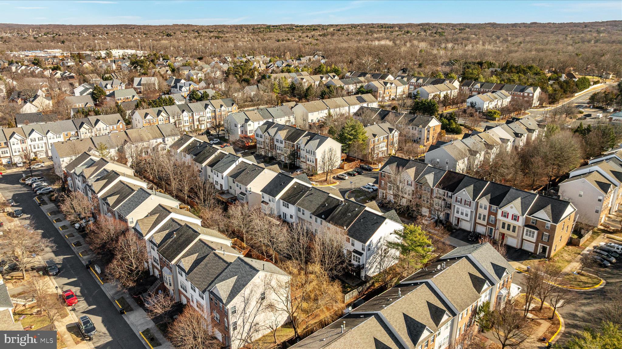 21491 RUSTY BLACKHAW SQUARE