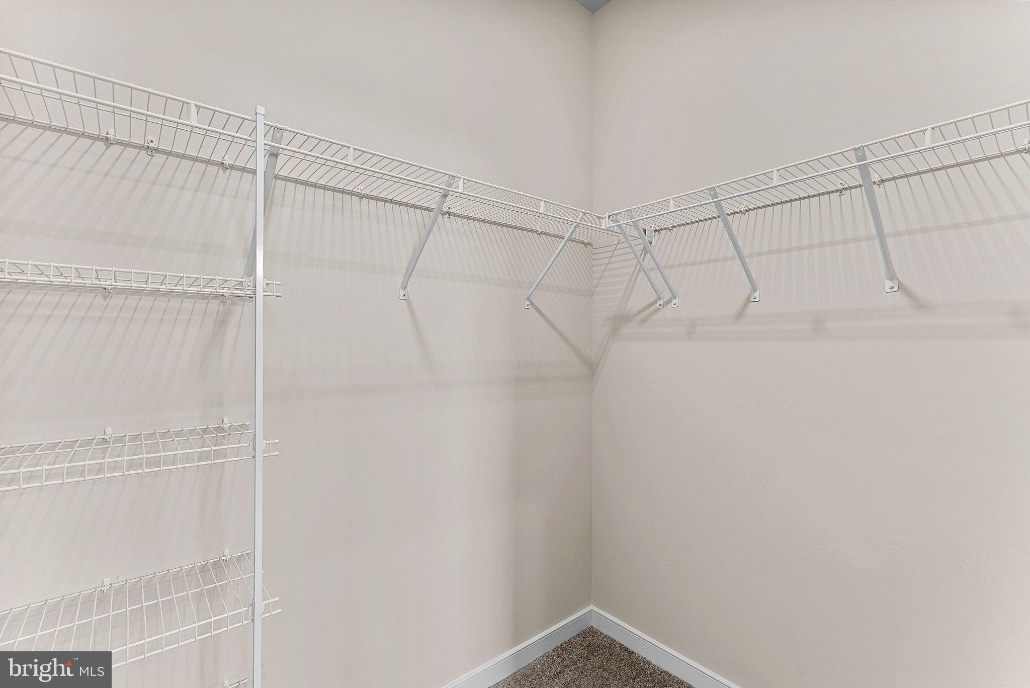 19716 MYSTIC MAROON TERRACE