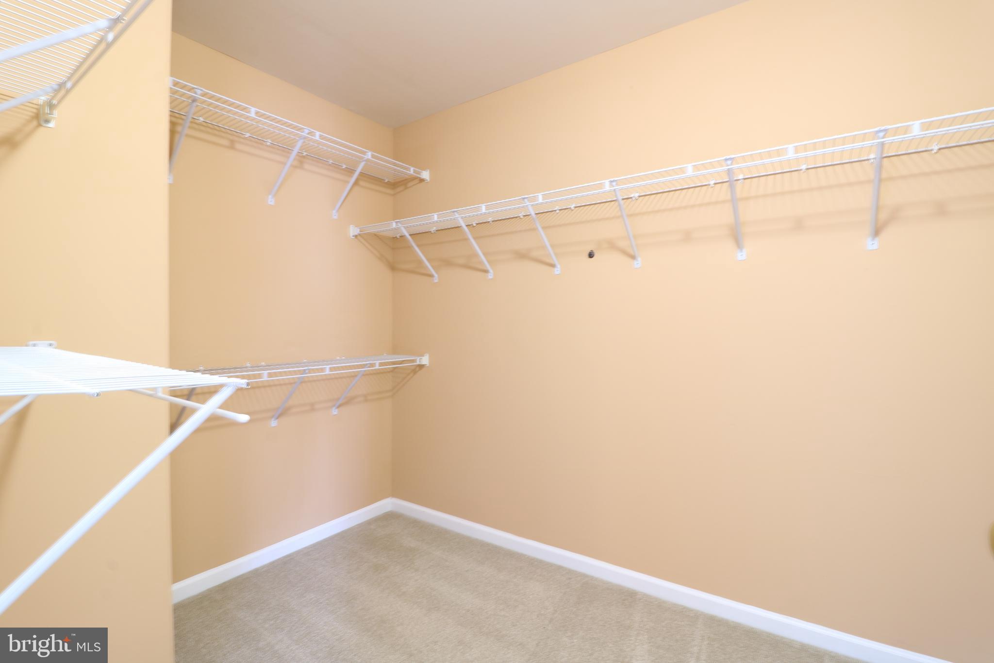 25497 CARRINGTON DRIVE