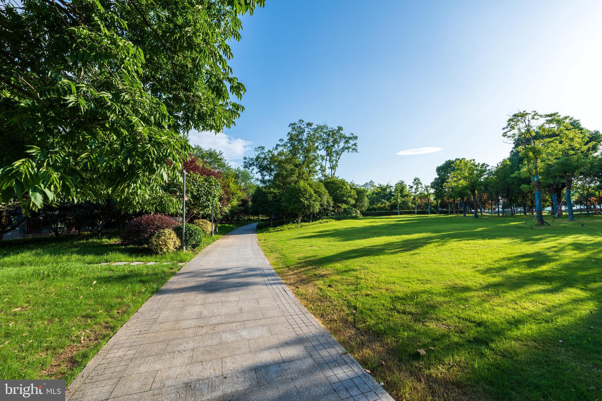 44506 LOWESTOFT SQUARE