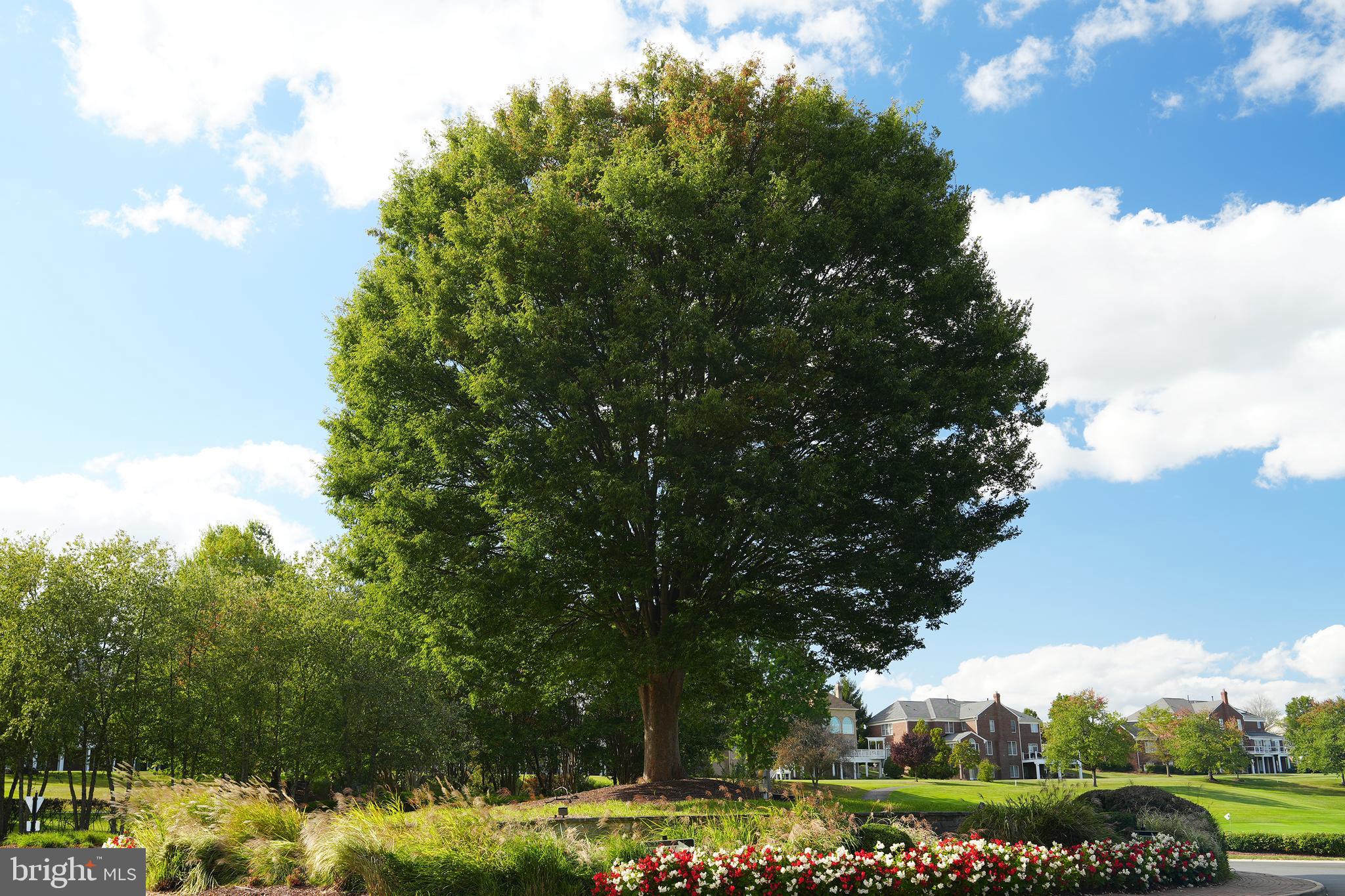 19883 NAPLES LAKES TERRACE