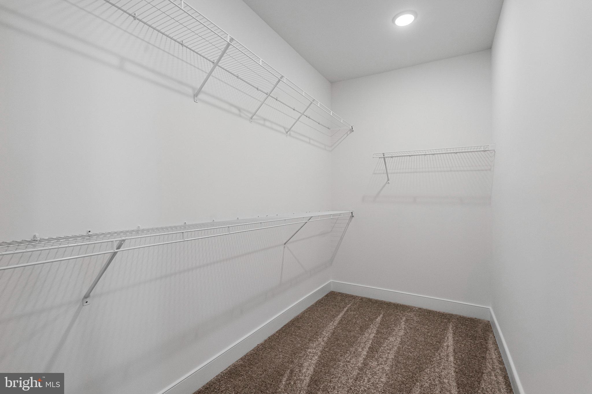 19826 LAVENDER DUST SQUARE