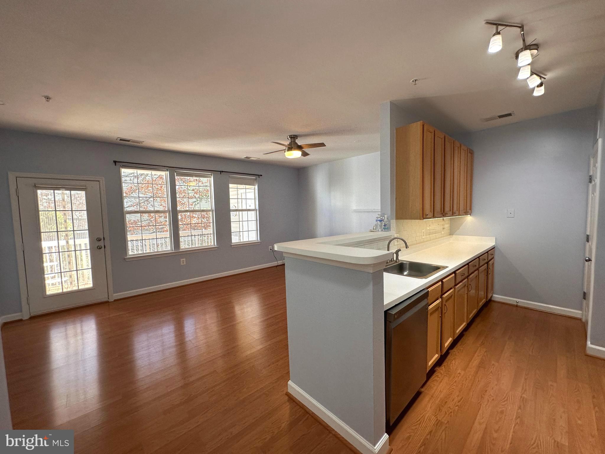 22607 BLUE ELDER 201