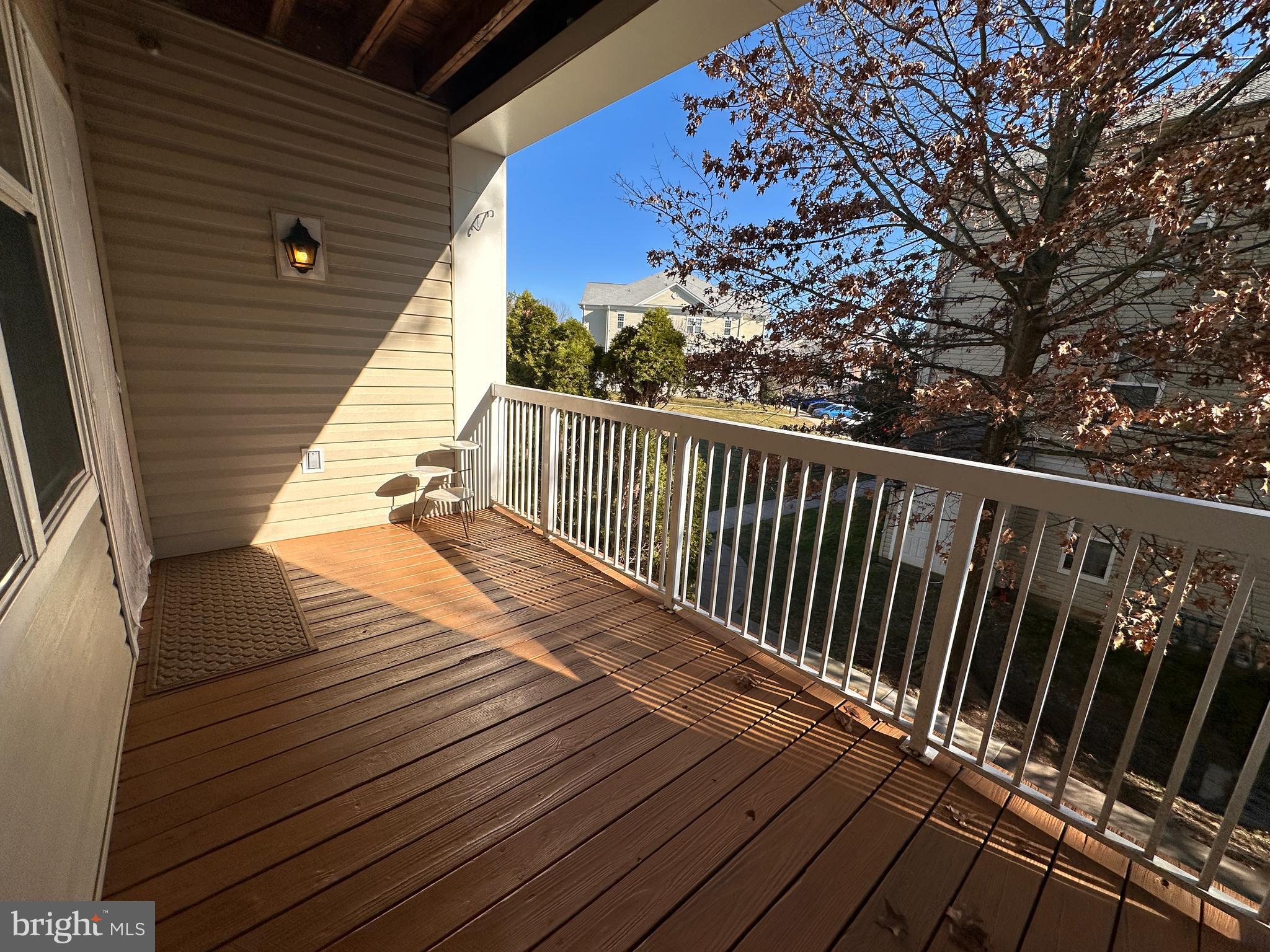 22607 BLUE ELDER 201