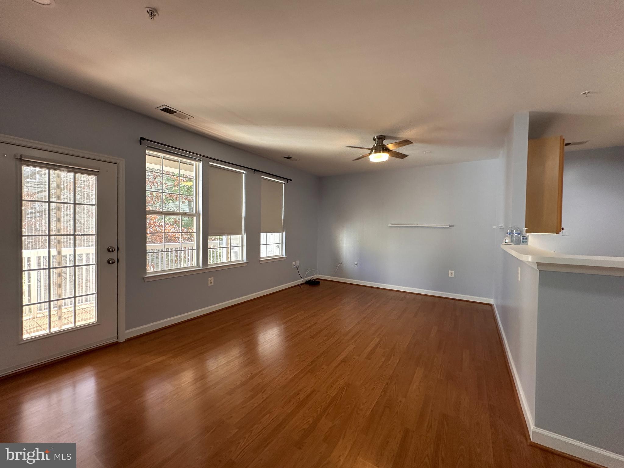 22607 BLUE ELDER 201