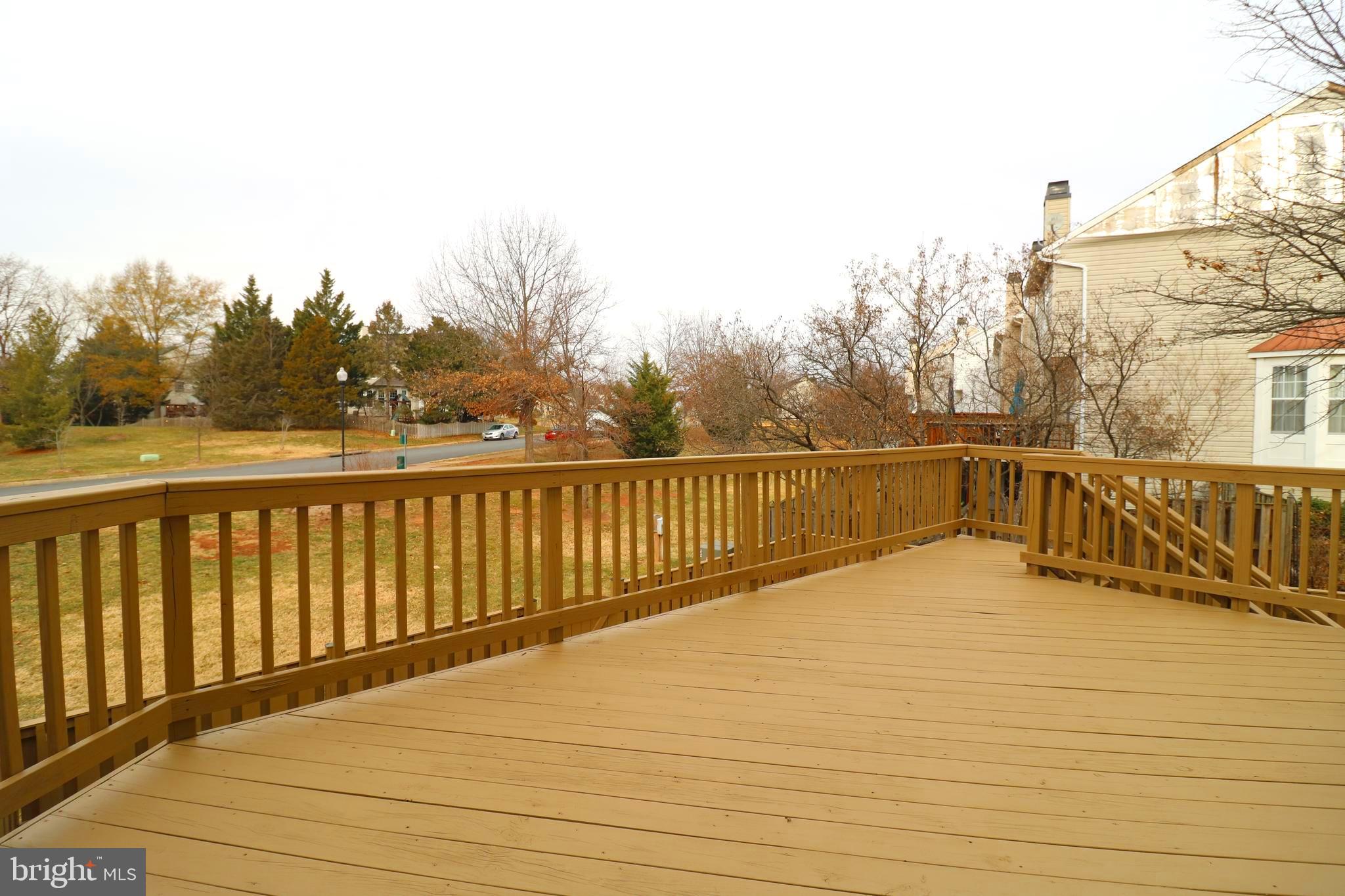 21031 LEMON SPRINGS TERRACE