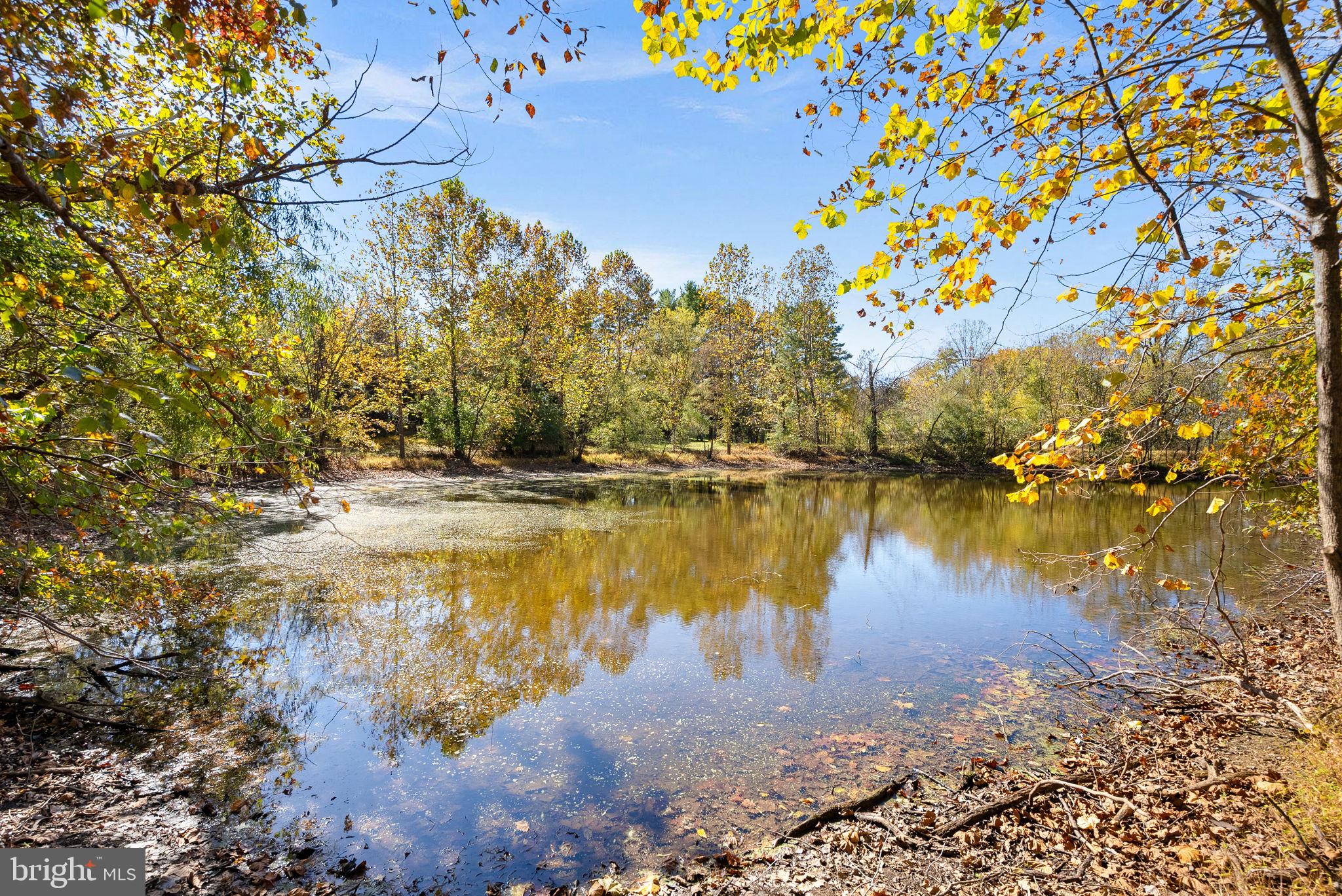 16309 HAMILTON STATION ROAD