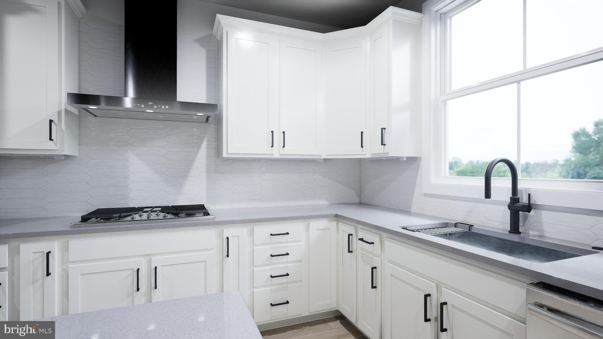 42147 PICASSO SQUARE HOMESITE 4529