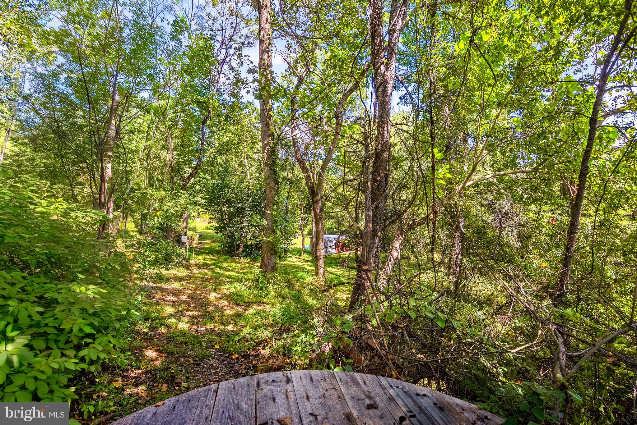 39857 THOMAS MILL ROAD