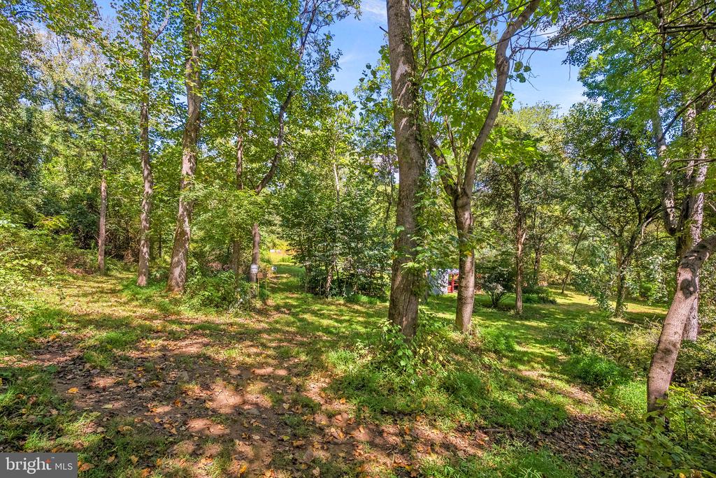 39857 THOMAS MILL ROAD