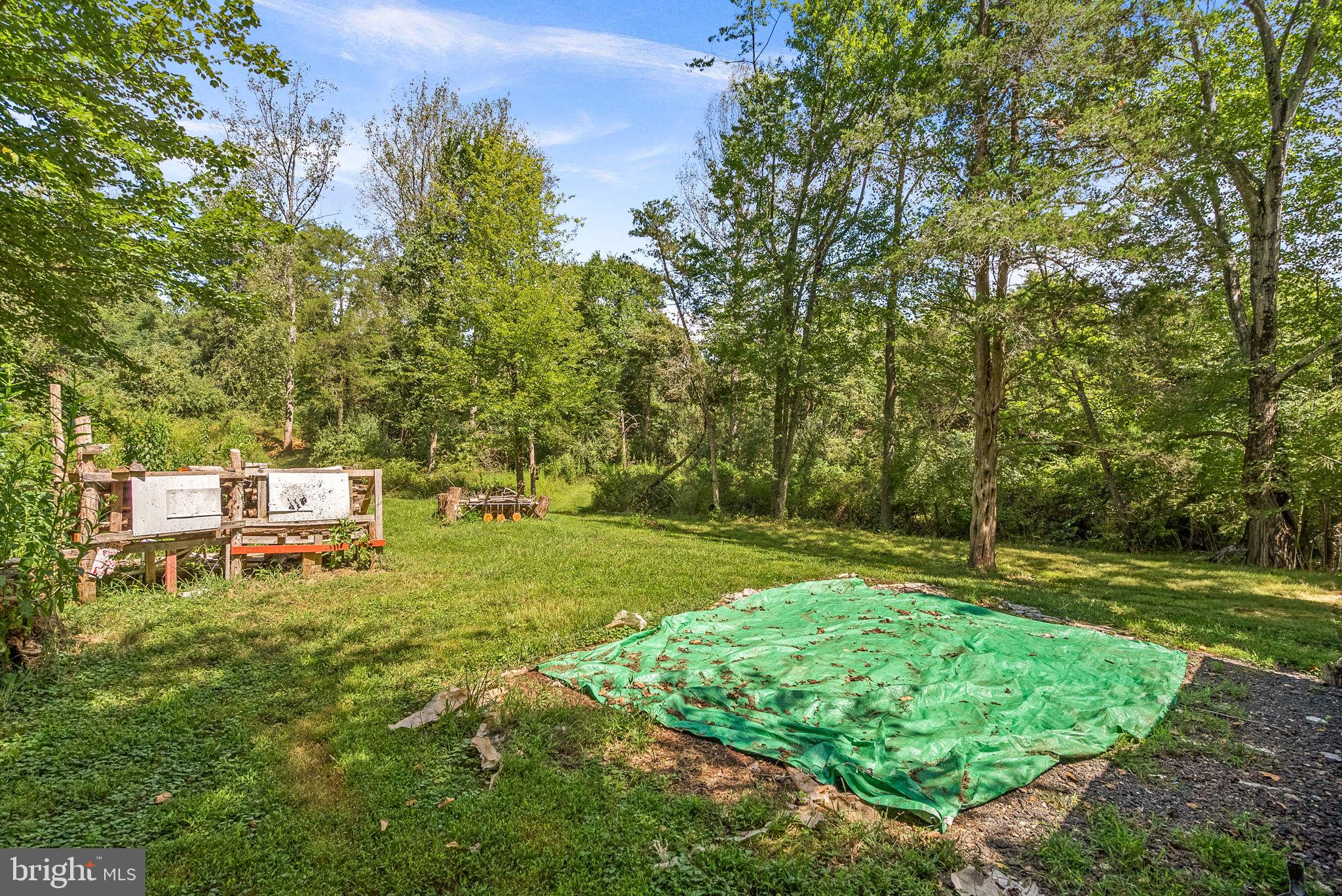 39857 THOMAS MILL ROAD