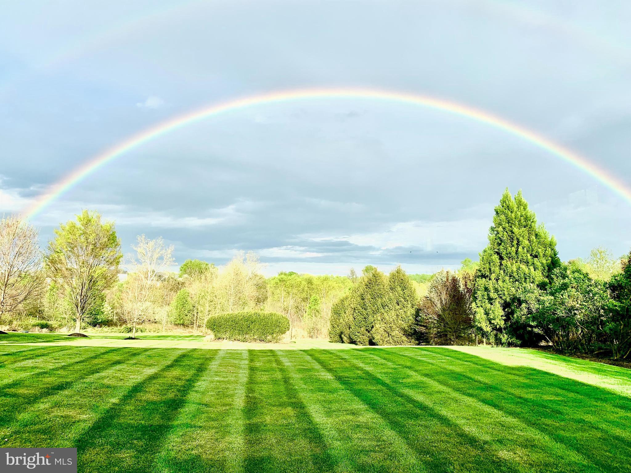 19606 BELLINGHAM LANE