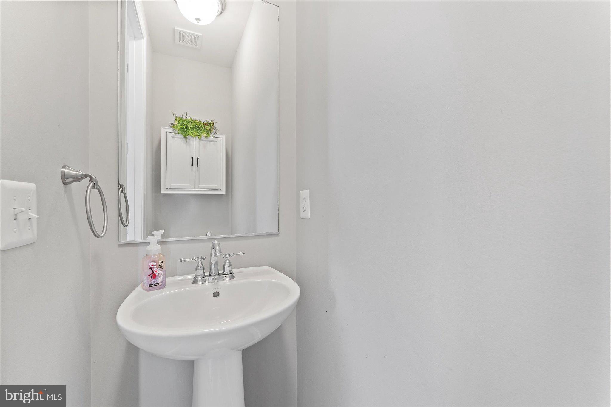 20433 SAVIN HILL DRIVE