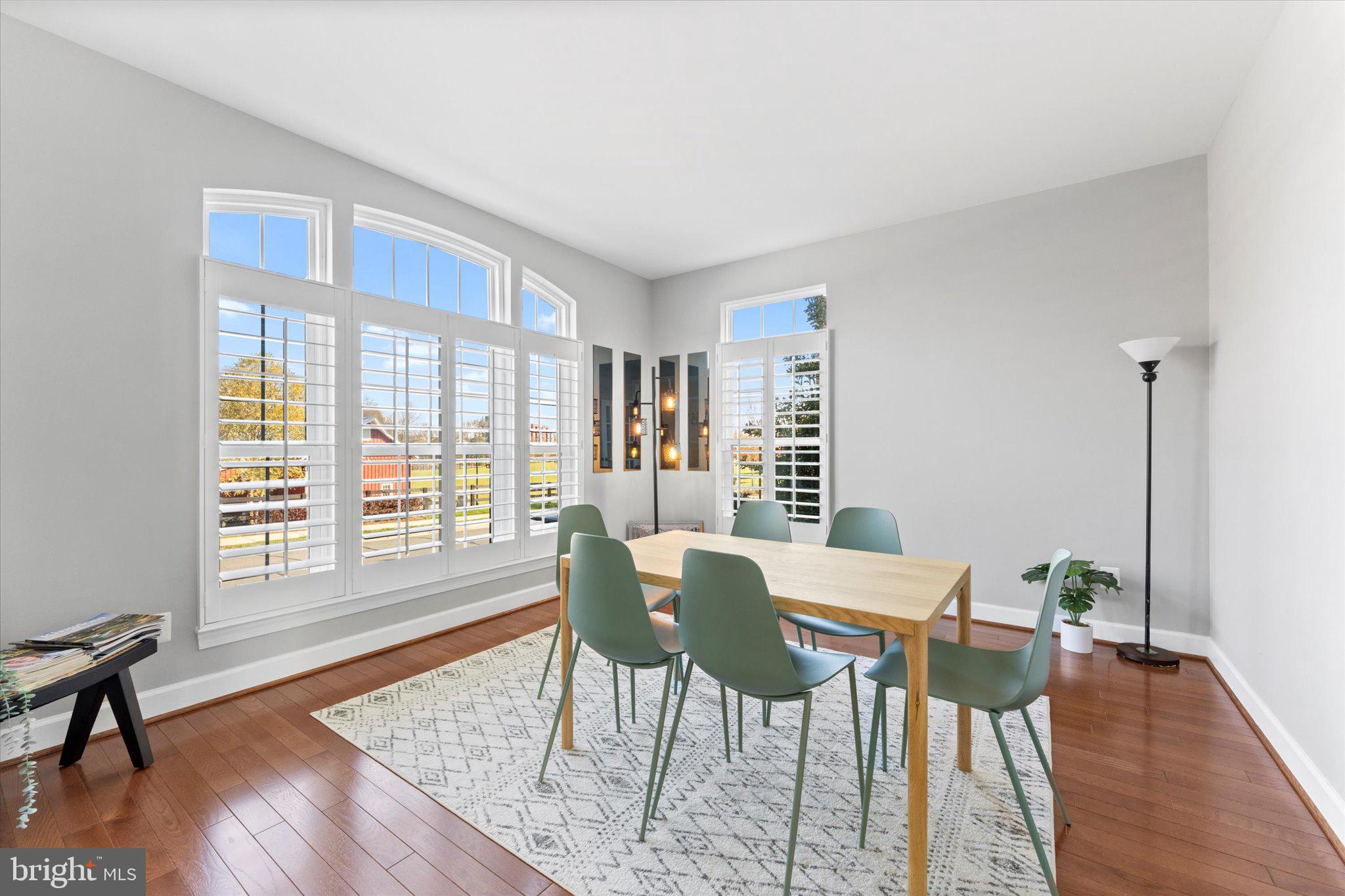 20433 SAVIN HILL DRIVE