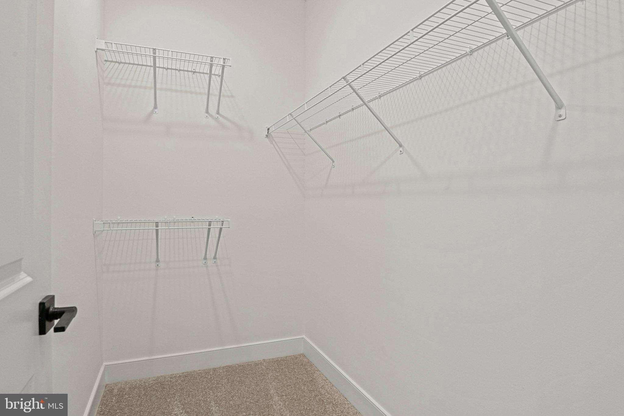 19874 YELLOW DAISY TERRACE