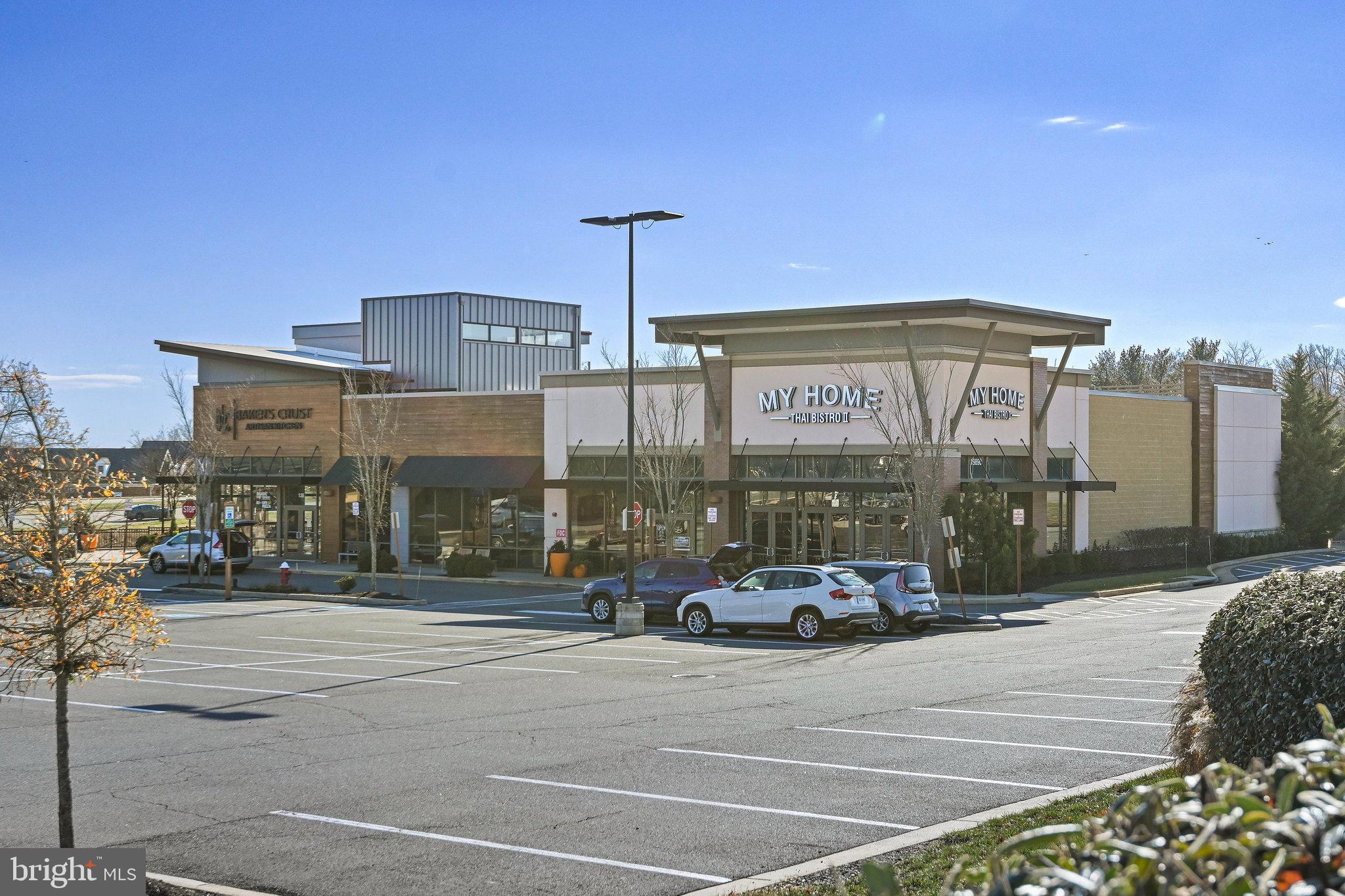 19874 YELLOW DAISY TERRACE