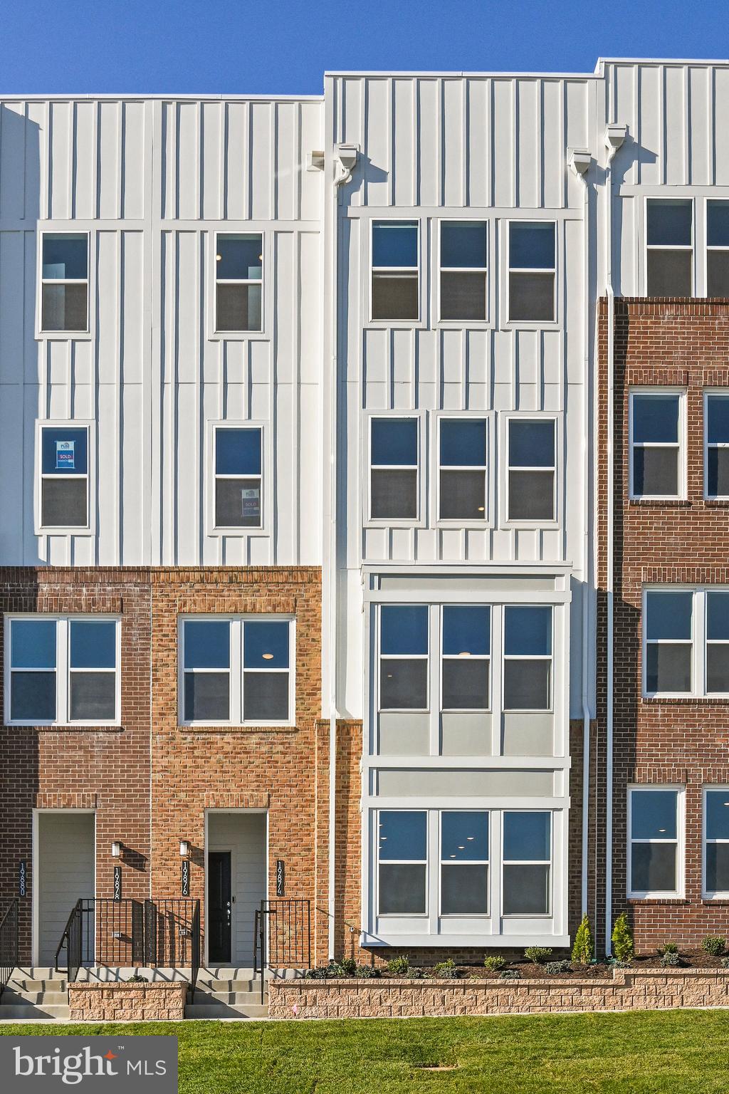 19874 YELLOW DAISY TERRACE