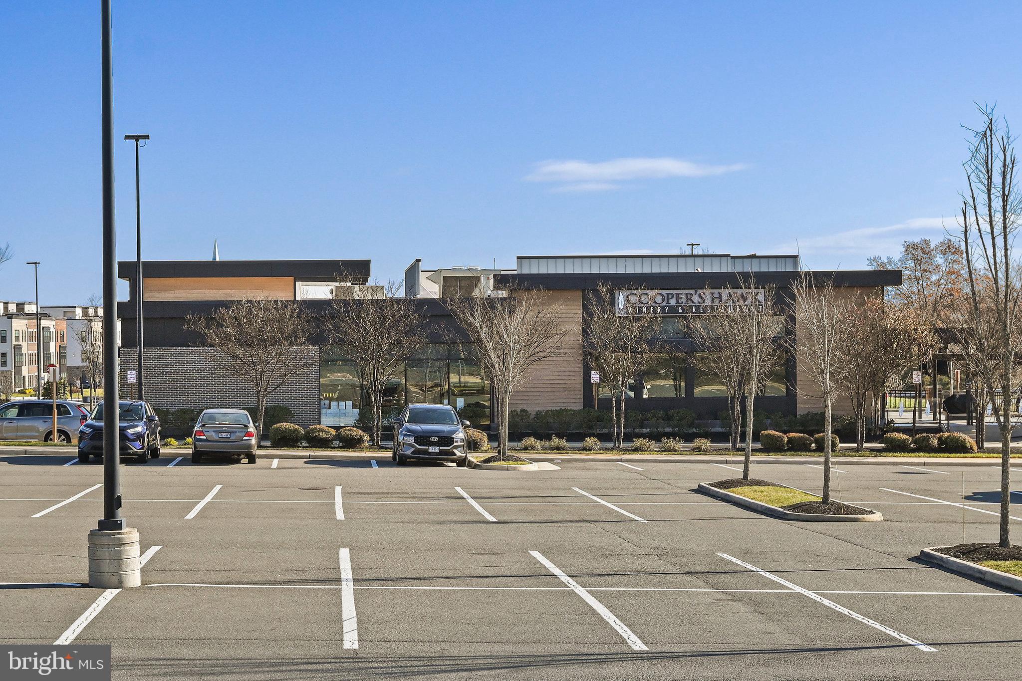 19874 YELLOW DAISY TERRACE