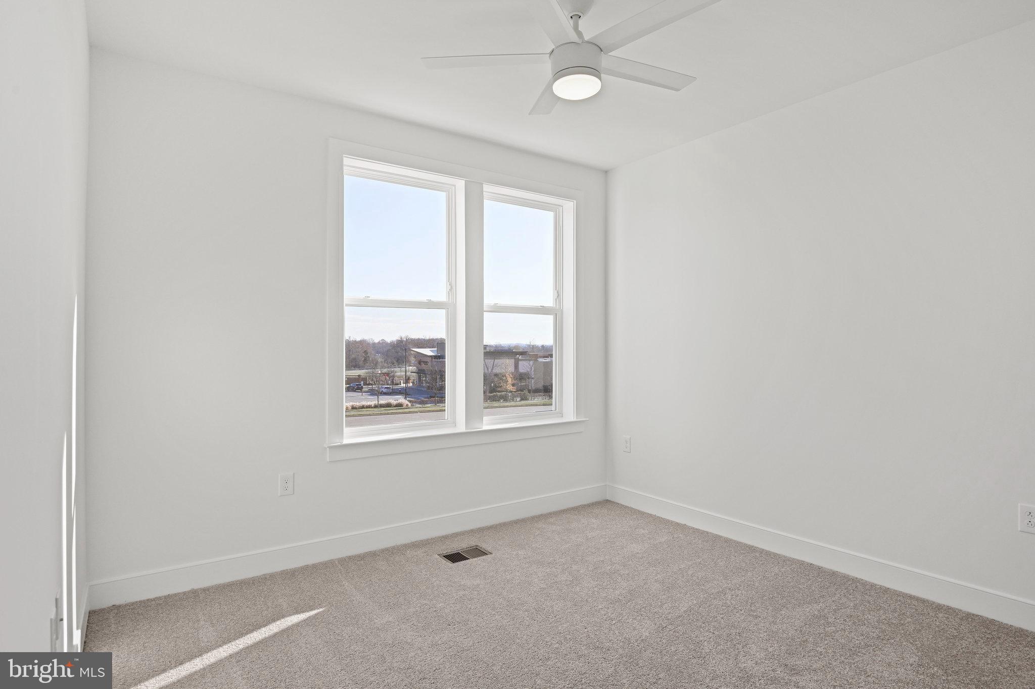 19874 YELLOW DAISY TERRACE