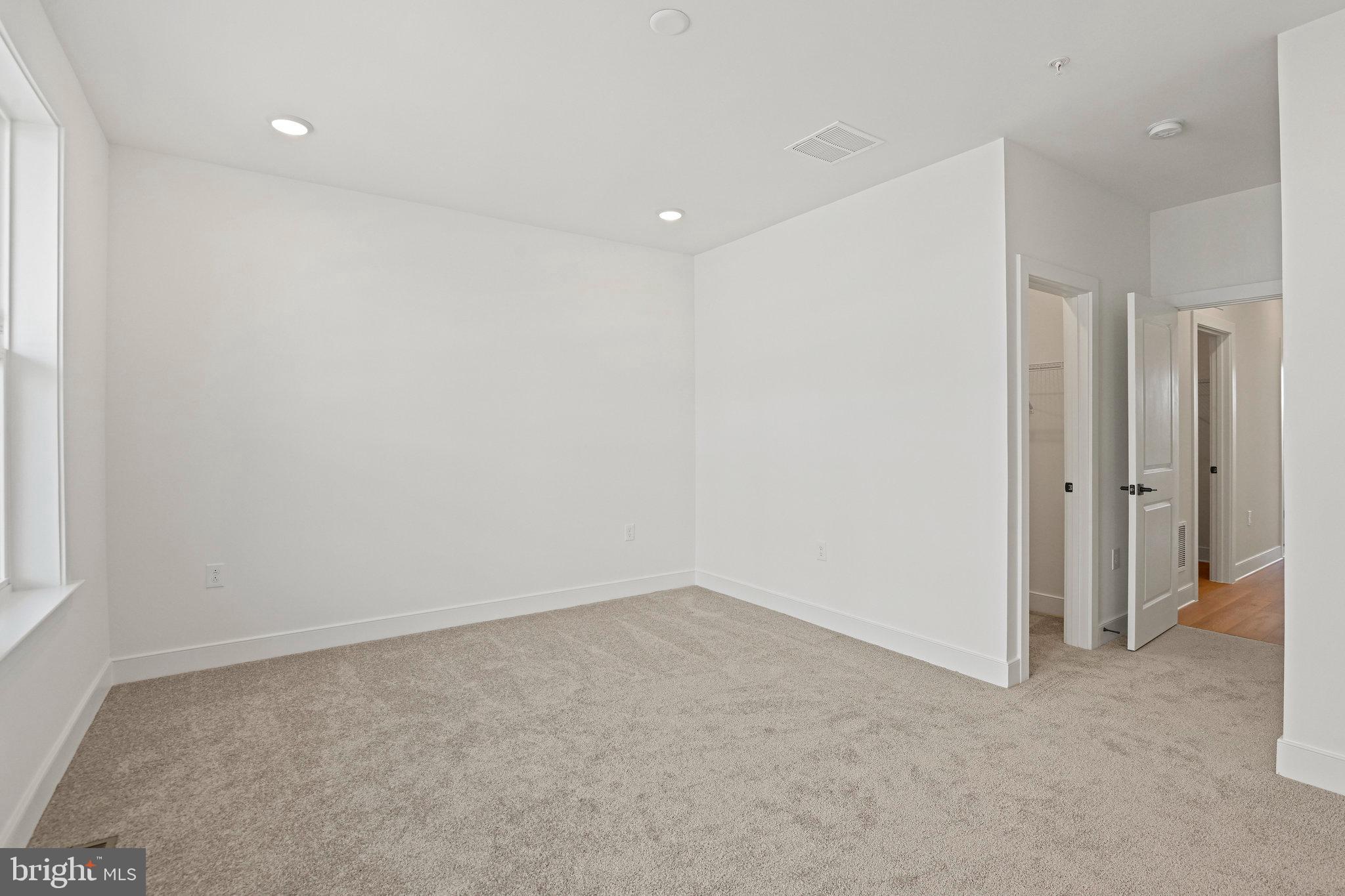 19874 YELLOW DAISY TERRACE