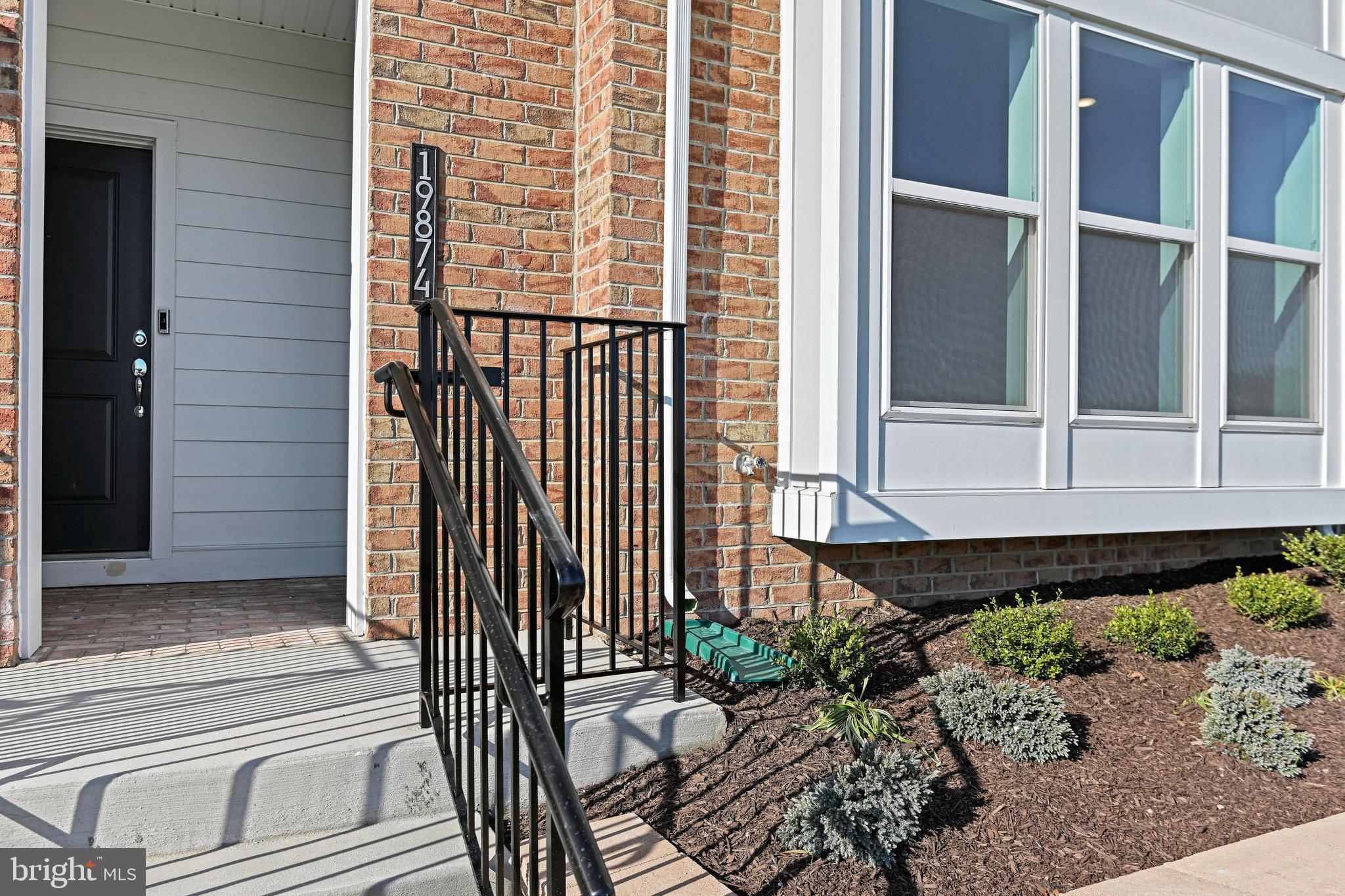 19874 YELLOW DAISY TERRACE