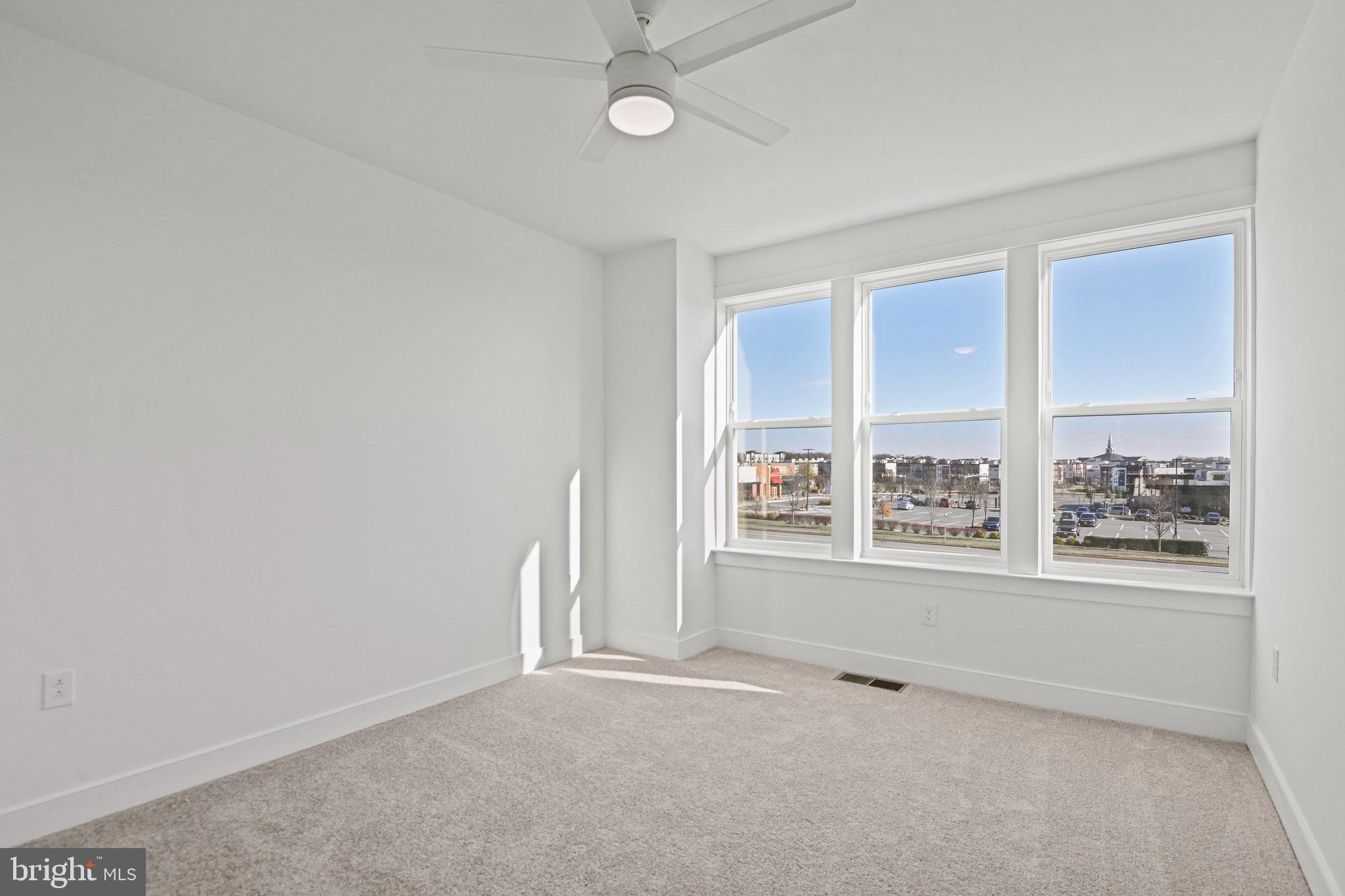 19874 YELLOW DAISY TERRACE