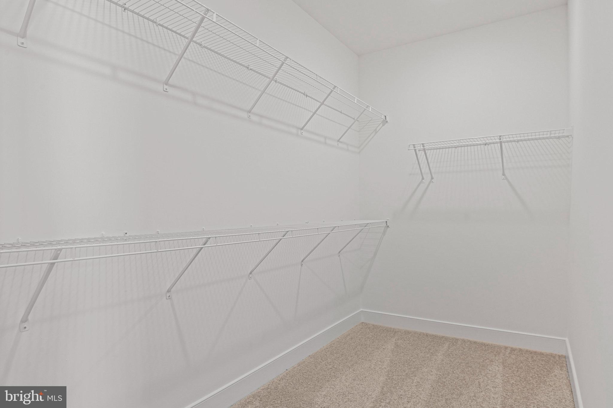 19874 YELLOW DAISY TERRACE