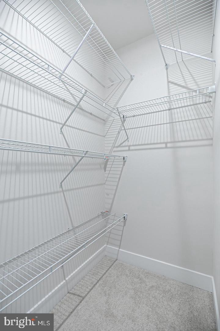 941 WARLANDER DRIVE BASEMENT SW