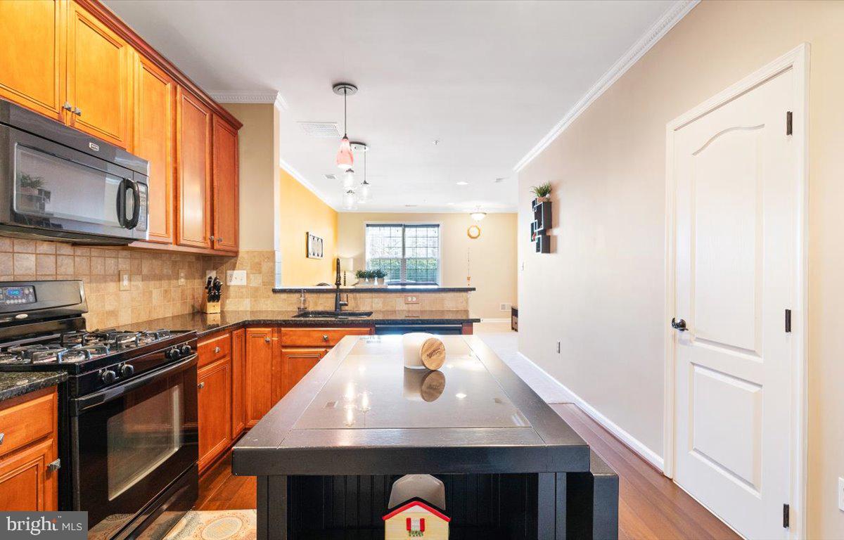 22705 SETTLERS TRAIL TERRACE