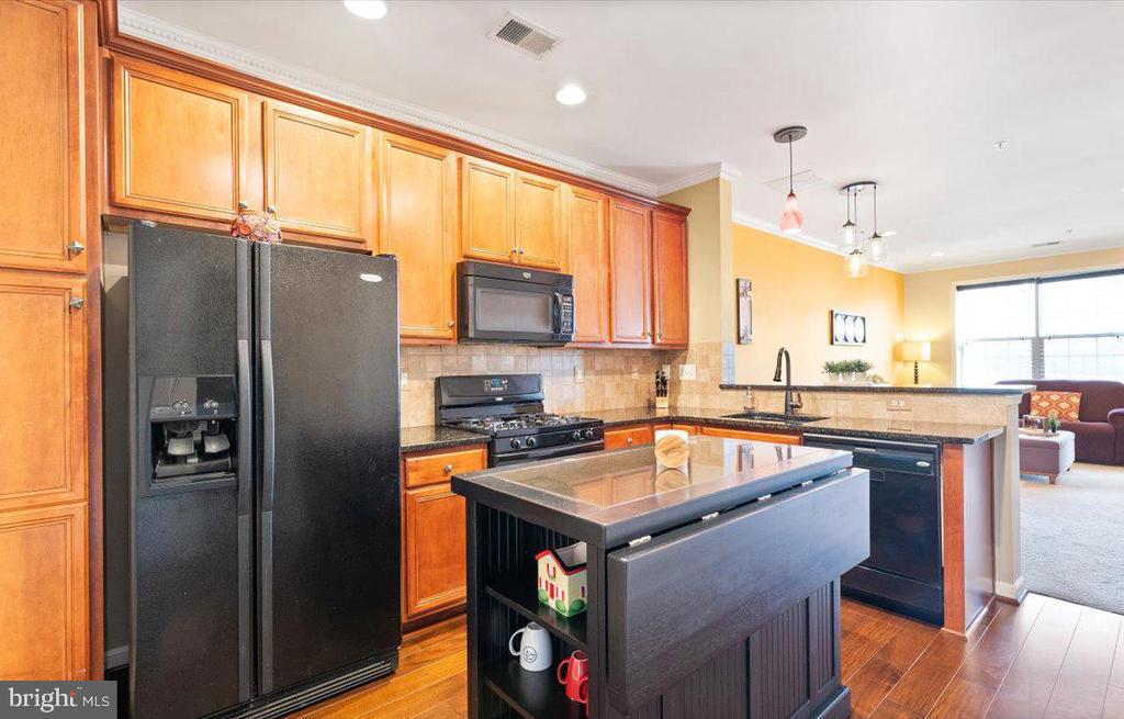 22705 SETTLERS TRAIL TERRACE