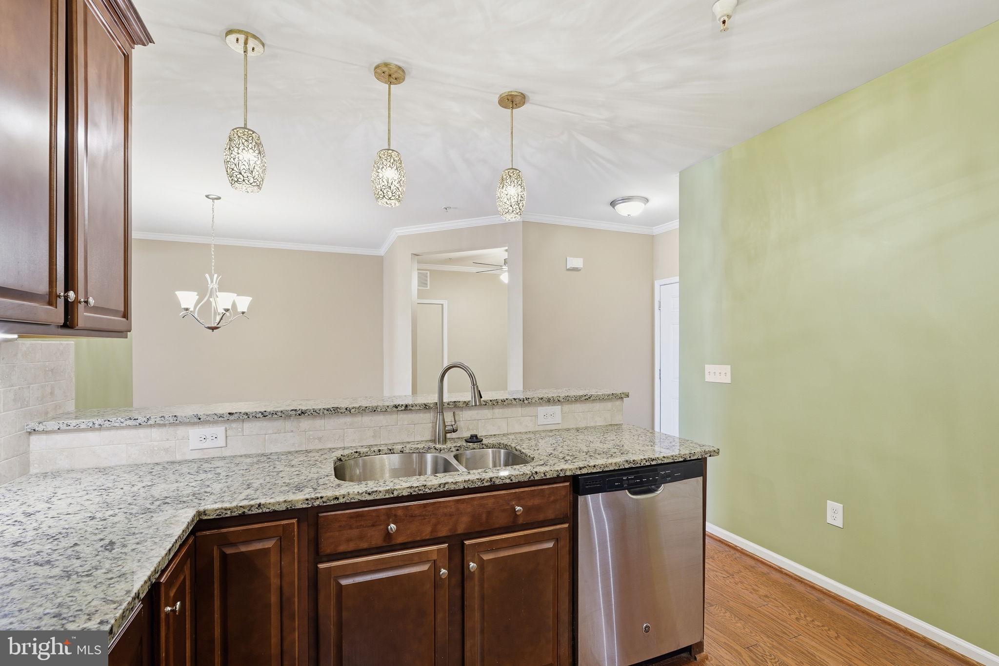 24637 WOOLLY MAMMOTH TERRACE 205
