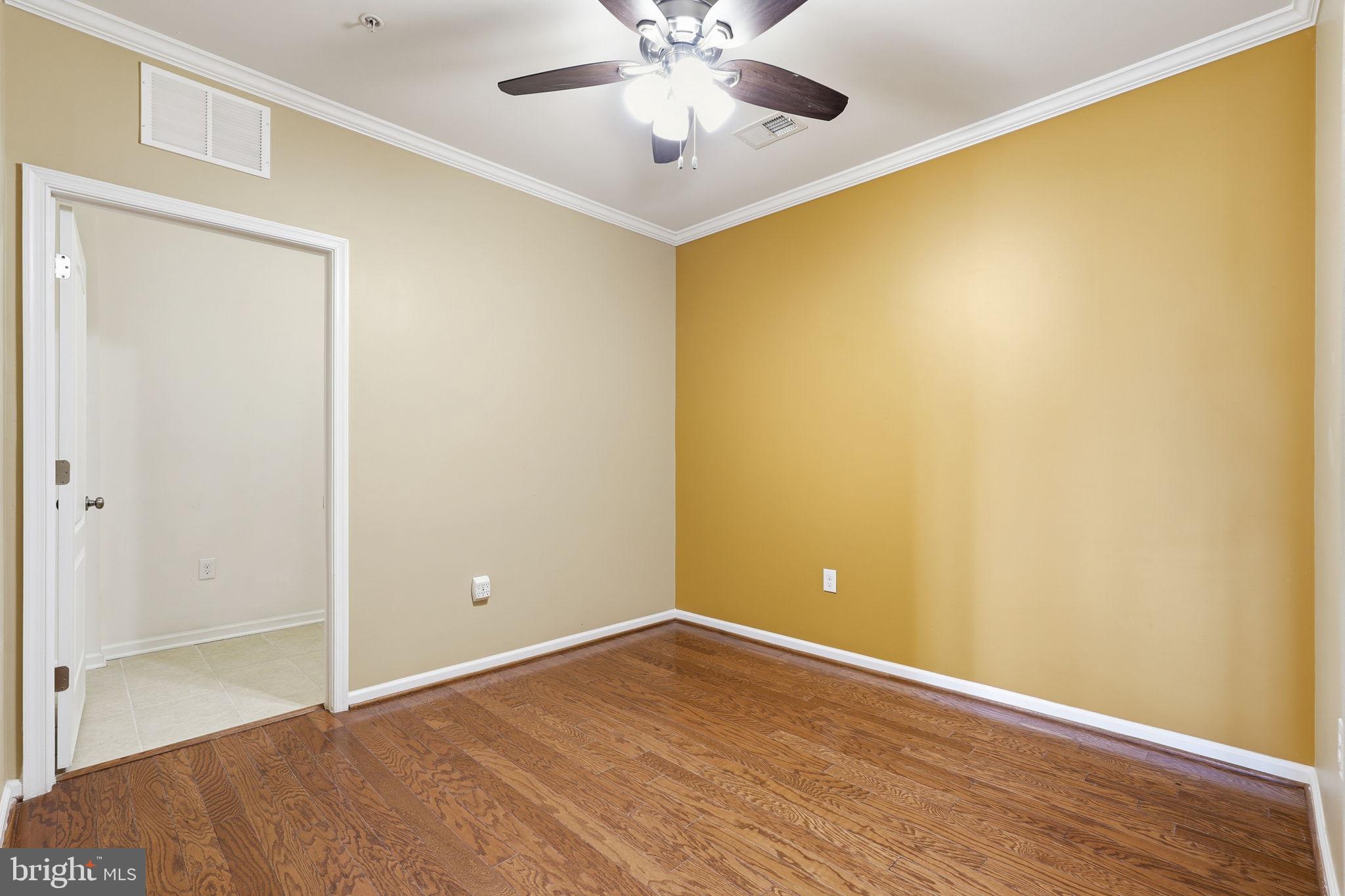24637 WOOLLY MAMMOTH TERRACE 205