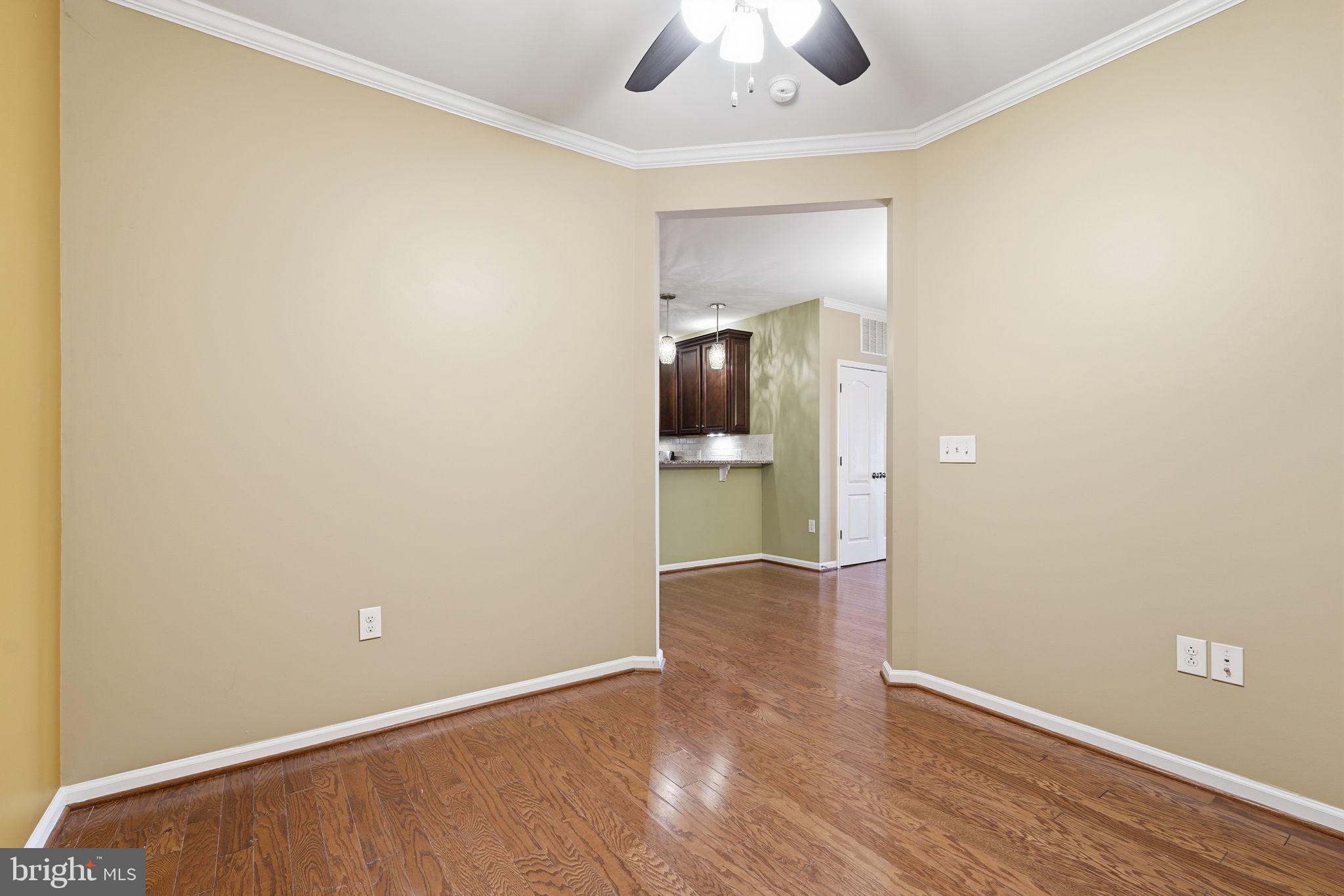 24637 WOOLLY MAMMOTH TERRACE 205