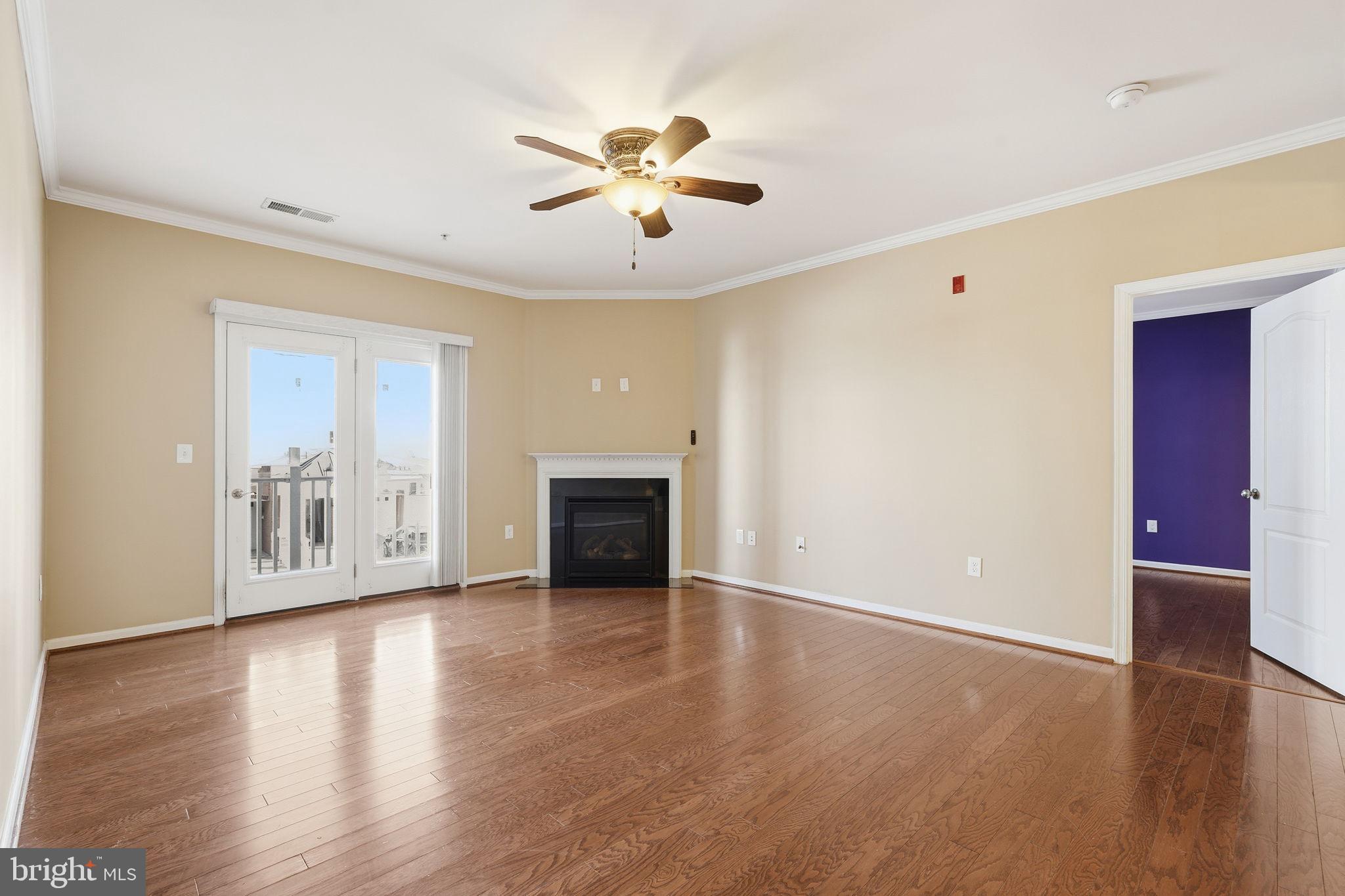24637 WOOLLY MAMMOTH TERRACE 205