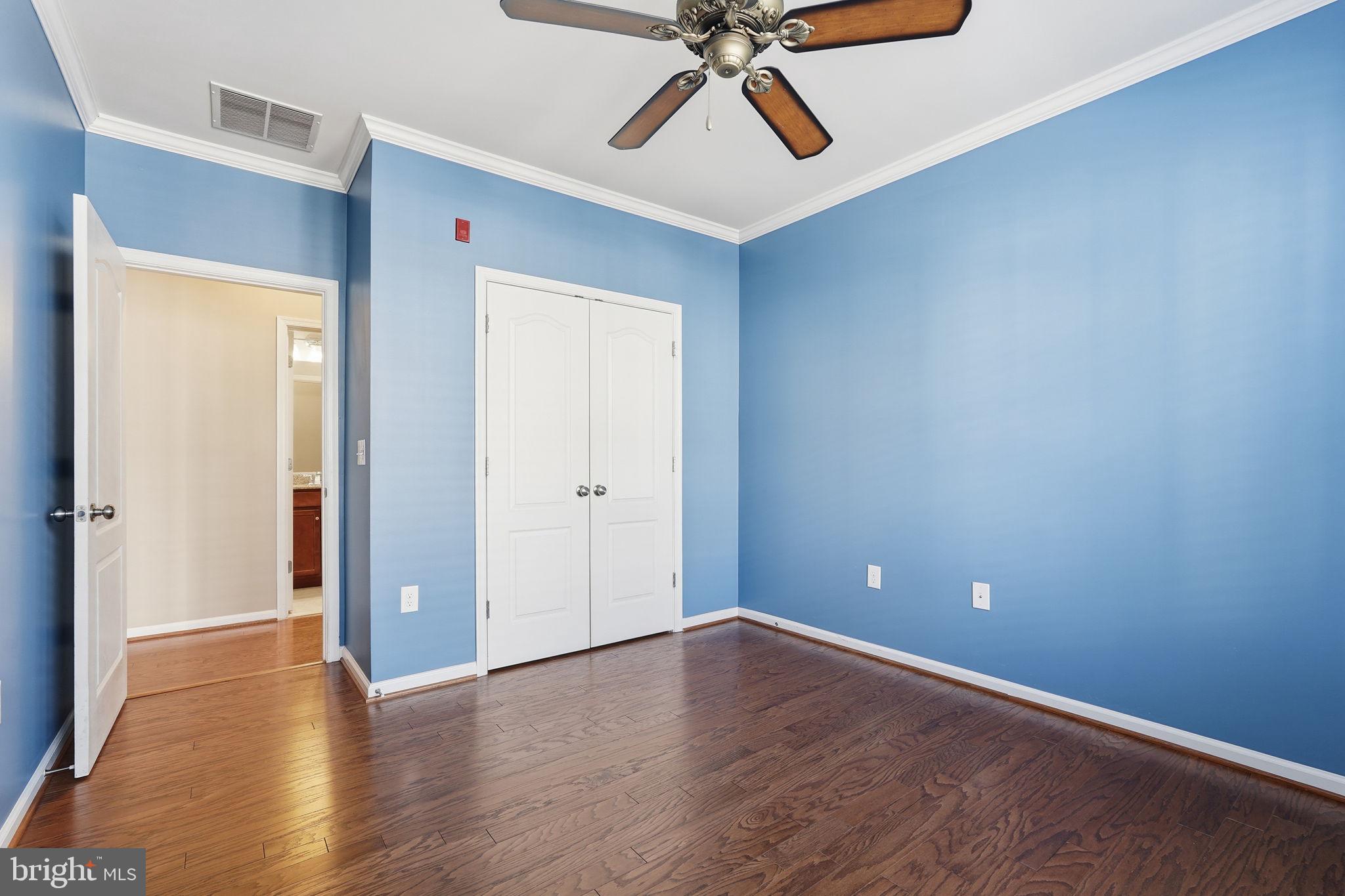 24637 WOOLLY MAMMOTH TERRACE 205