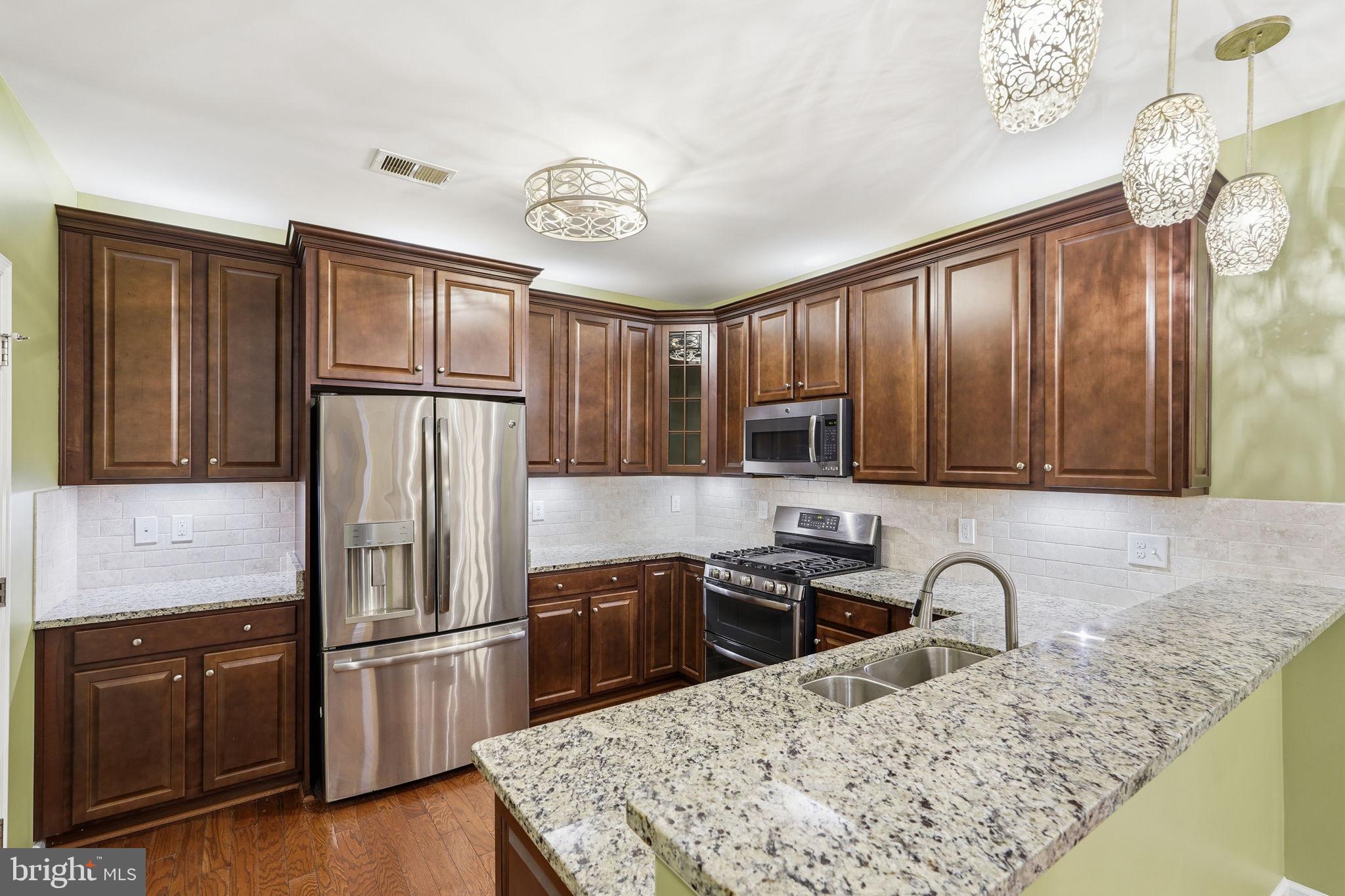 24637 WOOLLY MAMMOTH TERRACE 205