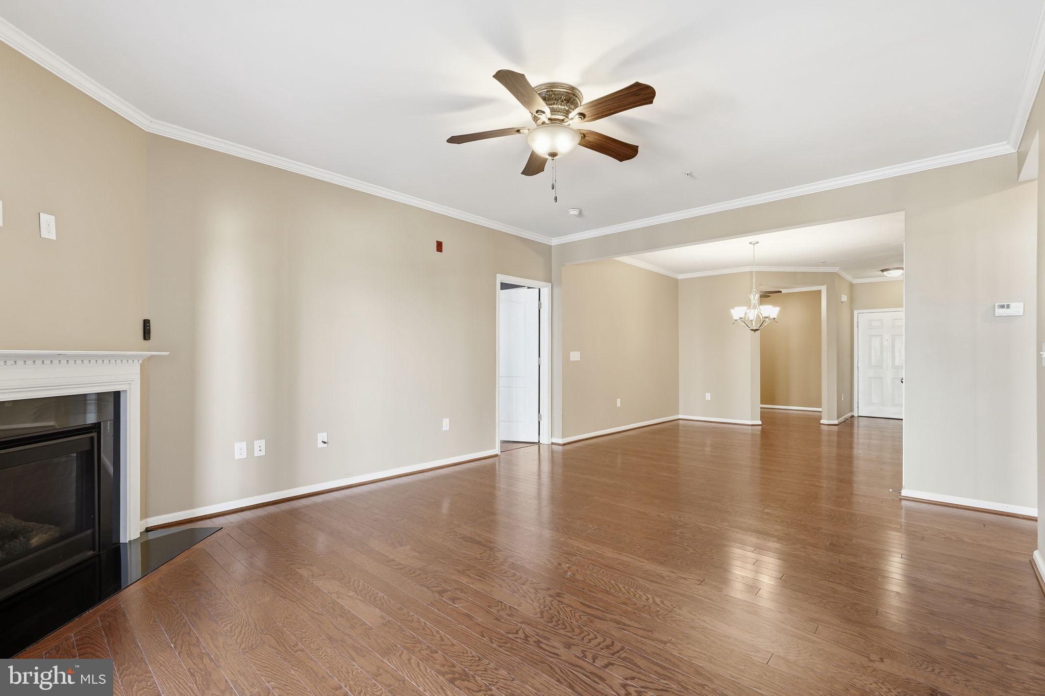 24637 WOOLLY MAMMOTH TERRACE 205