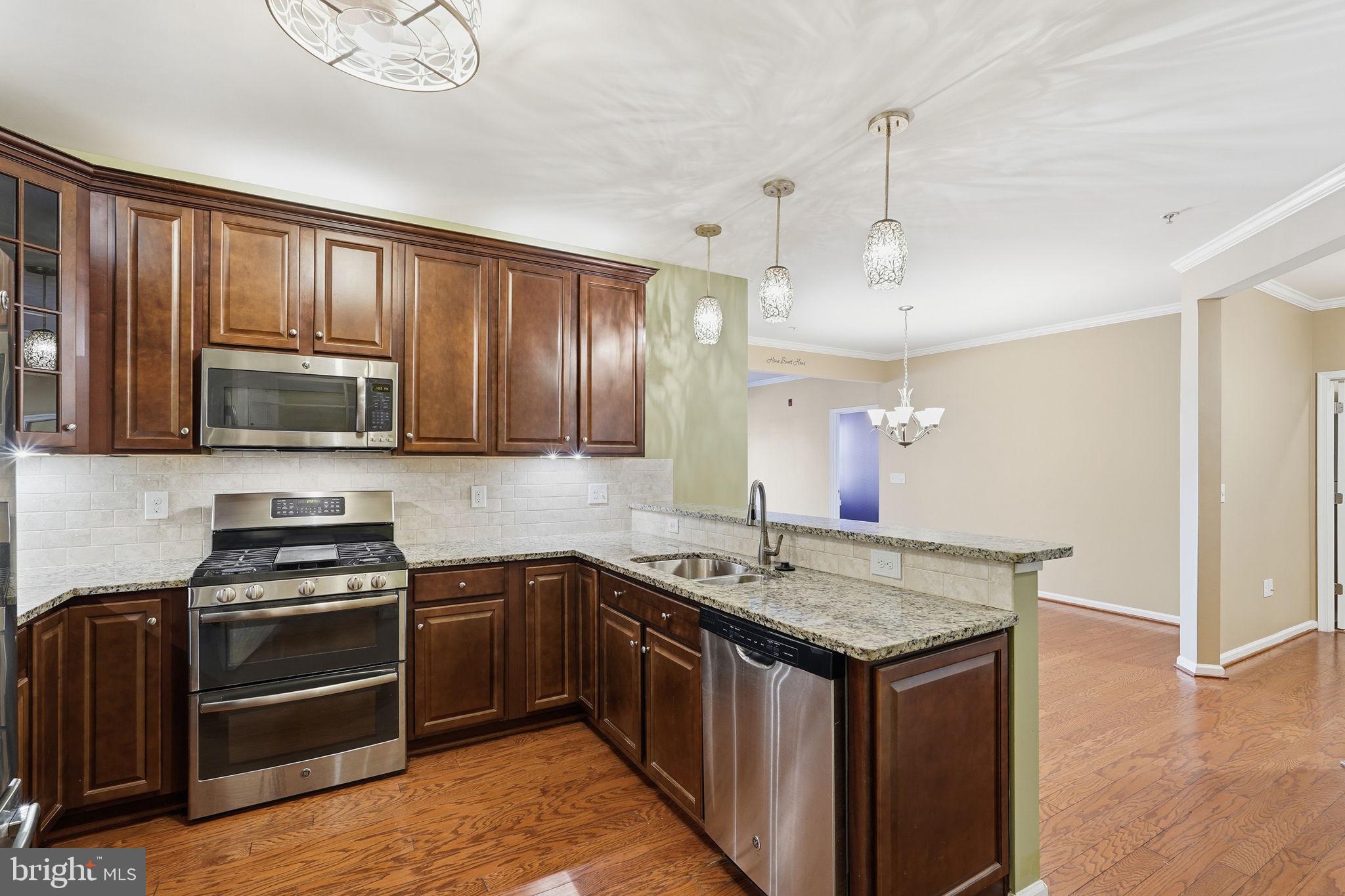 24637 WOOLLY MAMMOTH TERRACE 205