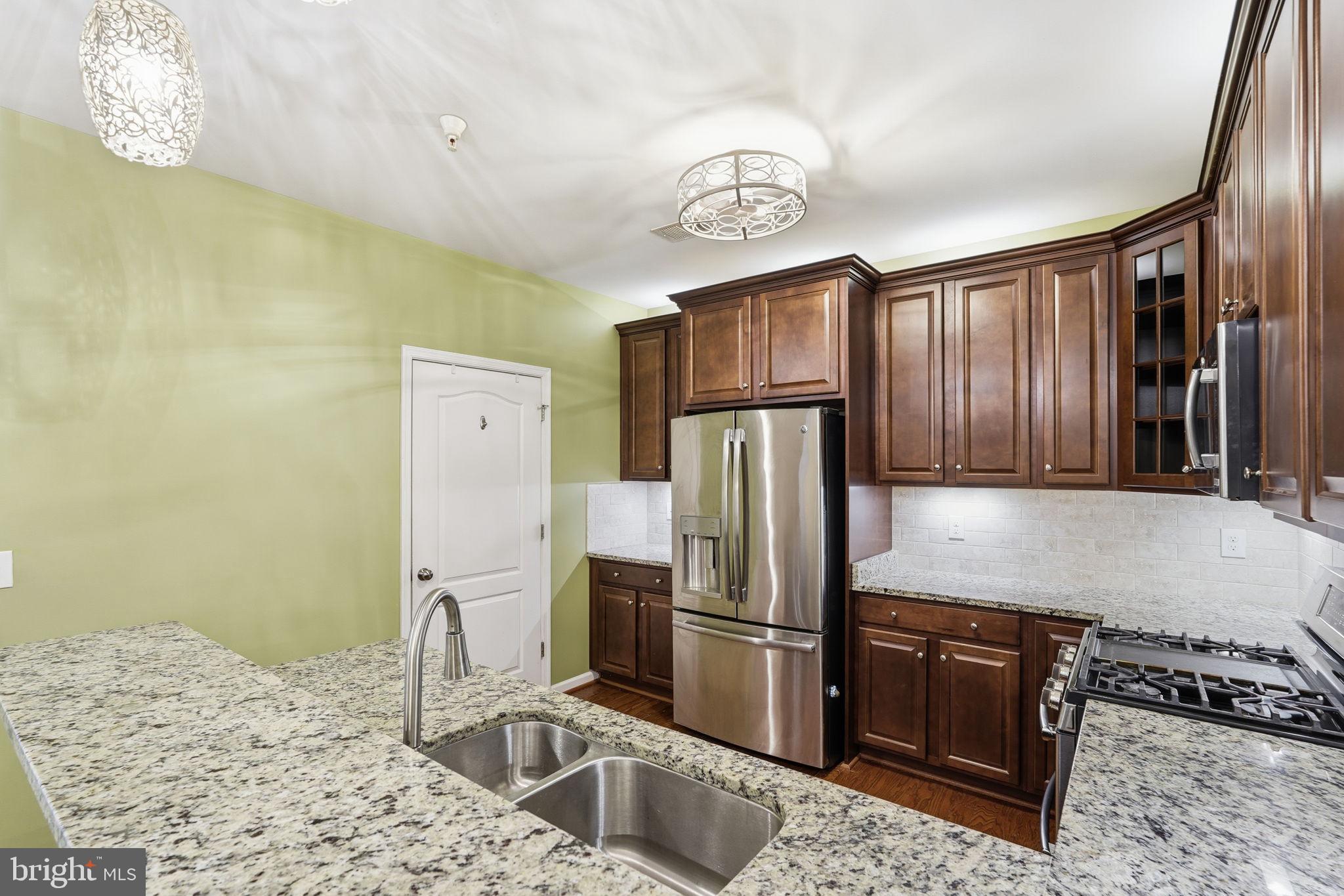 24637 WOOLLY MAMMOTH TERRACE 205