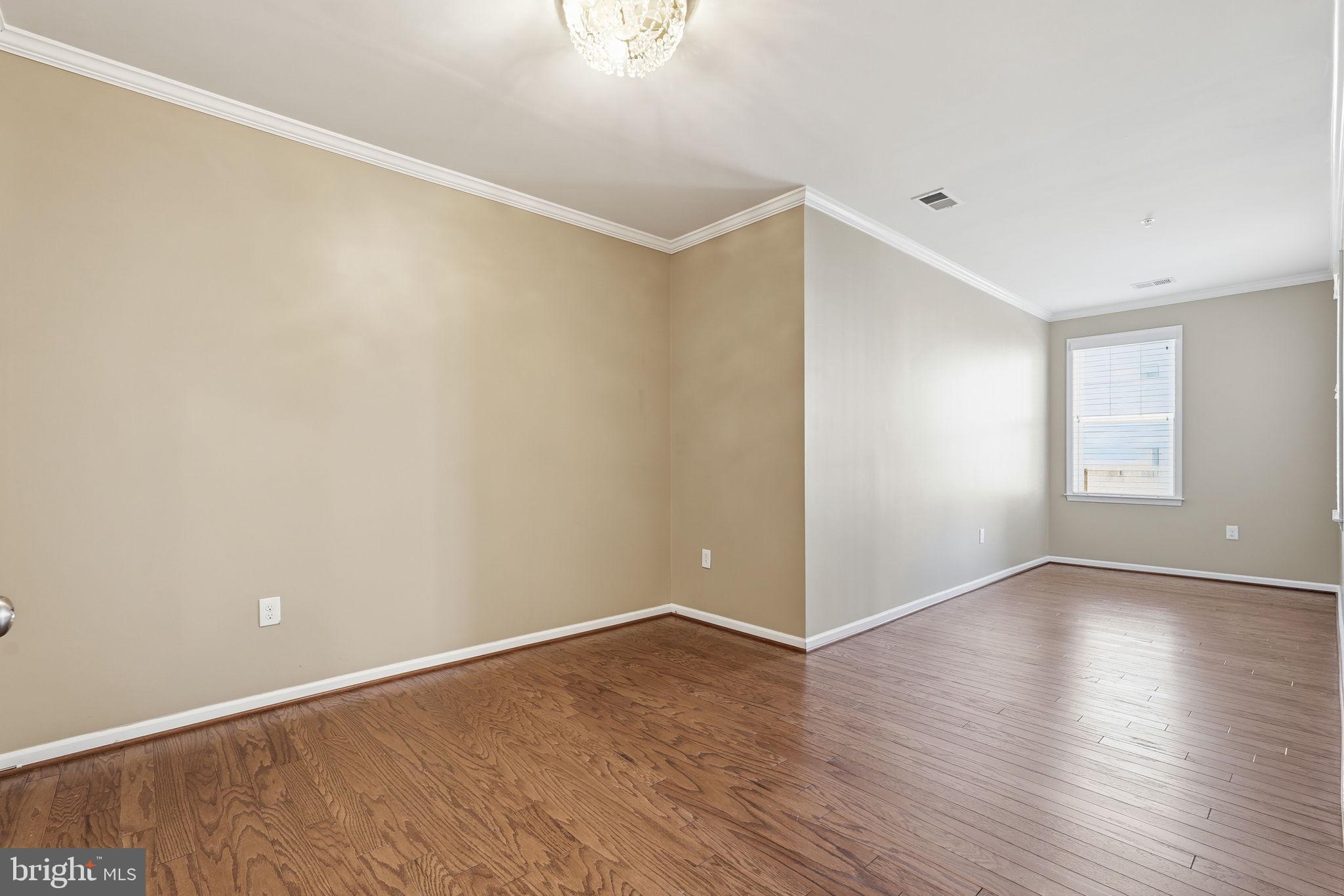 24637 WOOLLY MAMMOTH TERRACE 205
