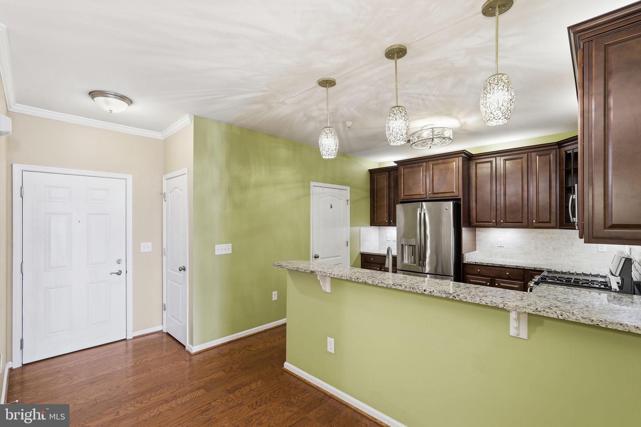 24637 WOOLLY MAMMOTH TERRACE 205
