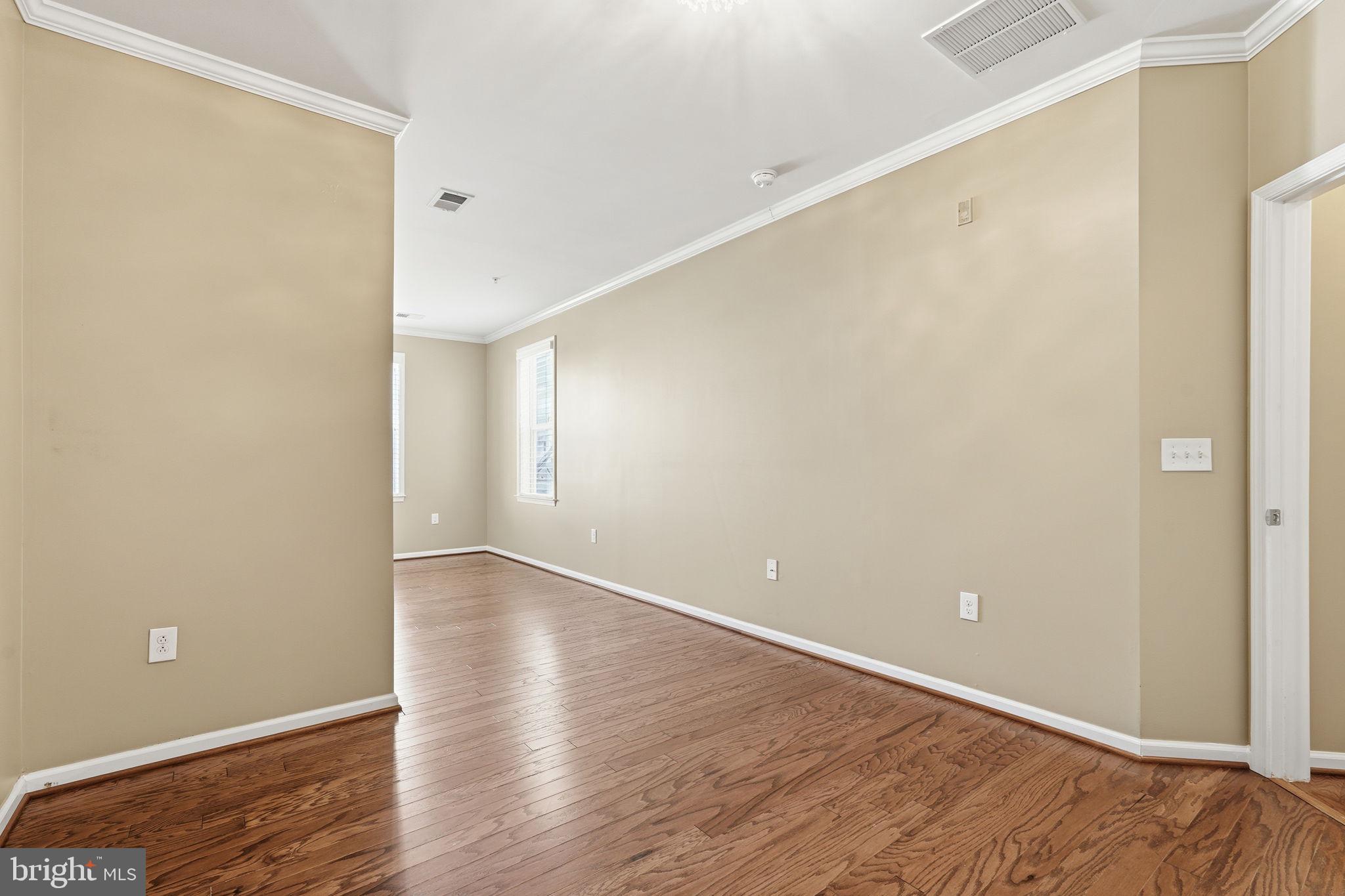 24637 WOOLLY MAMMOTH TERRACE 205