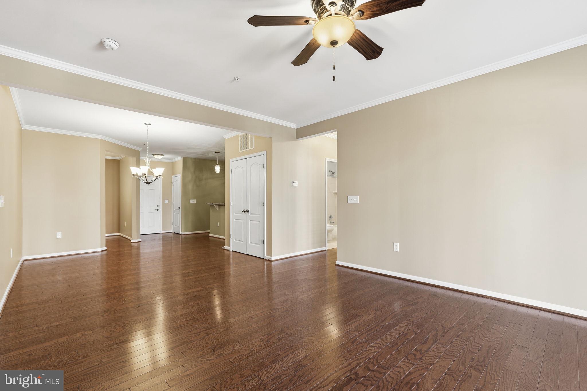 24637 WOOLLY MAMMOTH TERRACE 205