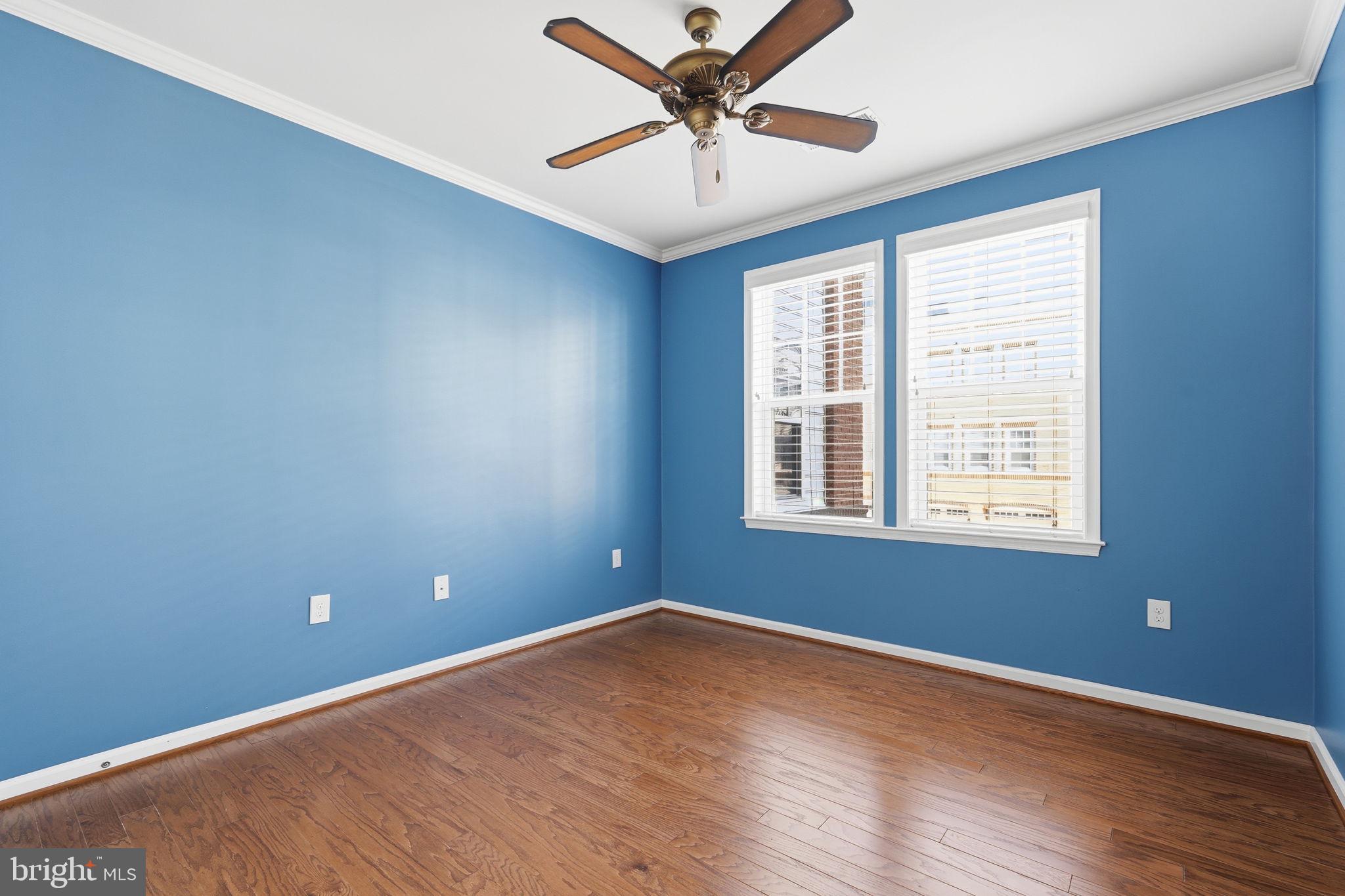24637 WOOLLY MAMMOTH TERRACE 205