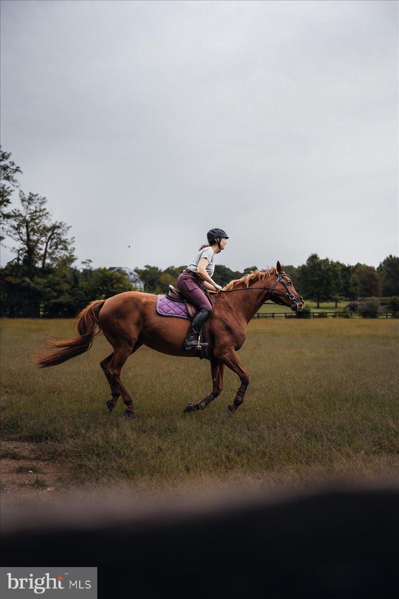 19606 RIDGESIDE ROAD