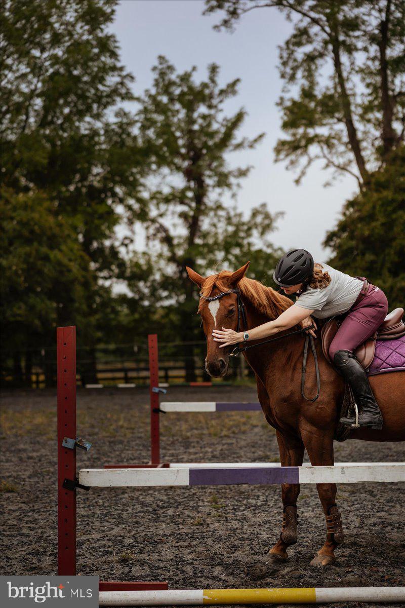 19606 RIDGESIDE ROAD