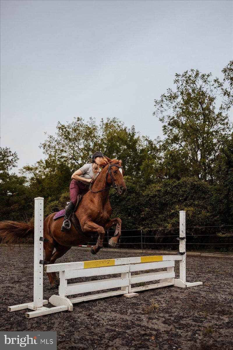 19606 RIDGESIDE ROAD