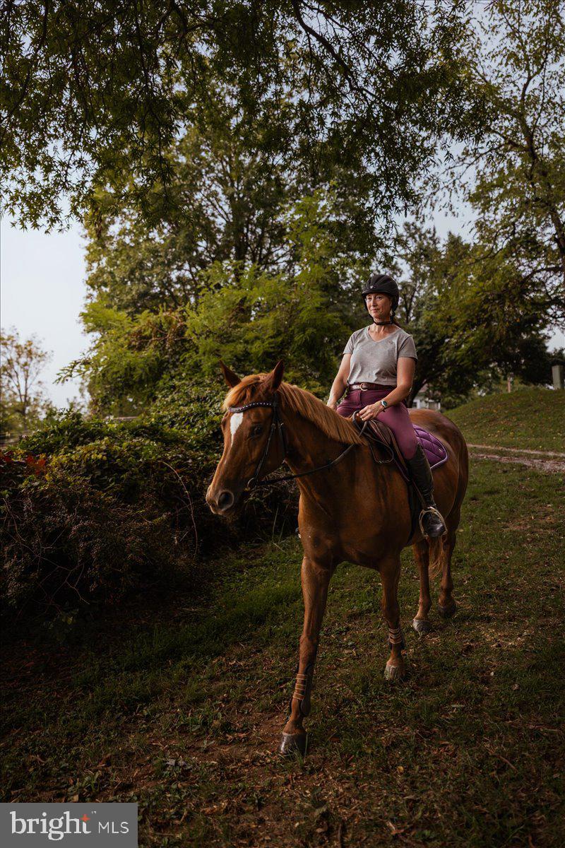 19606 RIDGESIDE ROAD