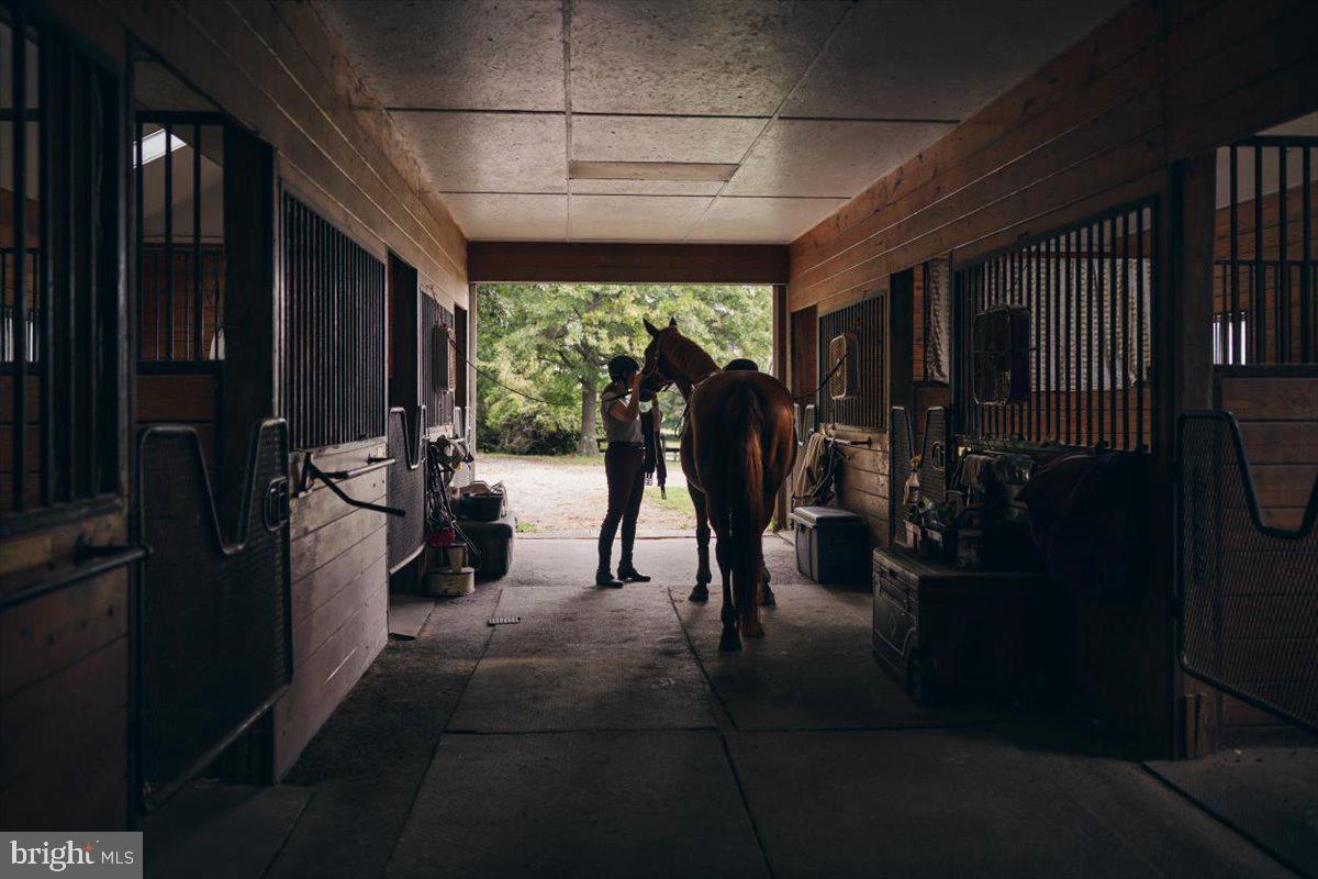 19606 RIDGESIDE ROAD