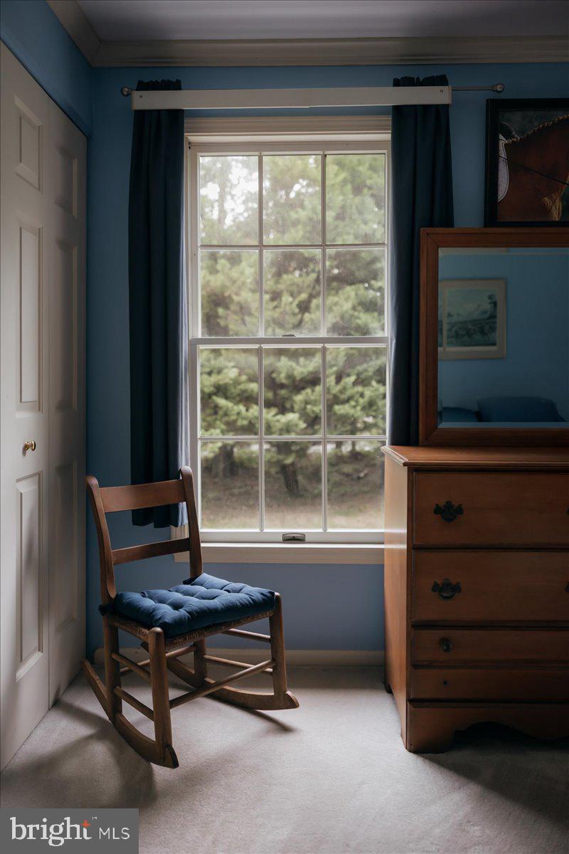 19606 RIDGESIDE ROAD